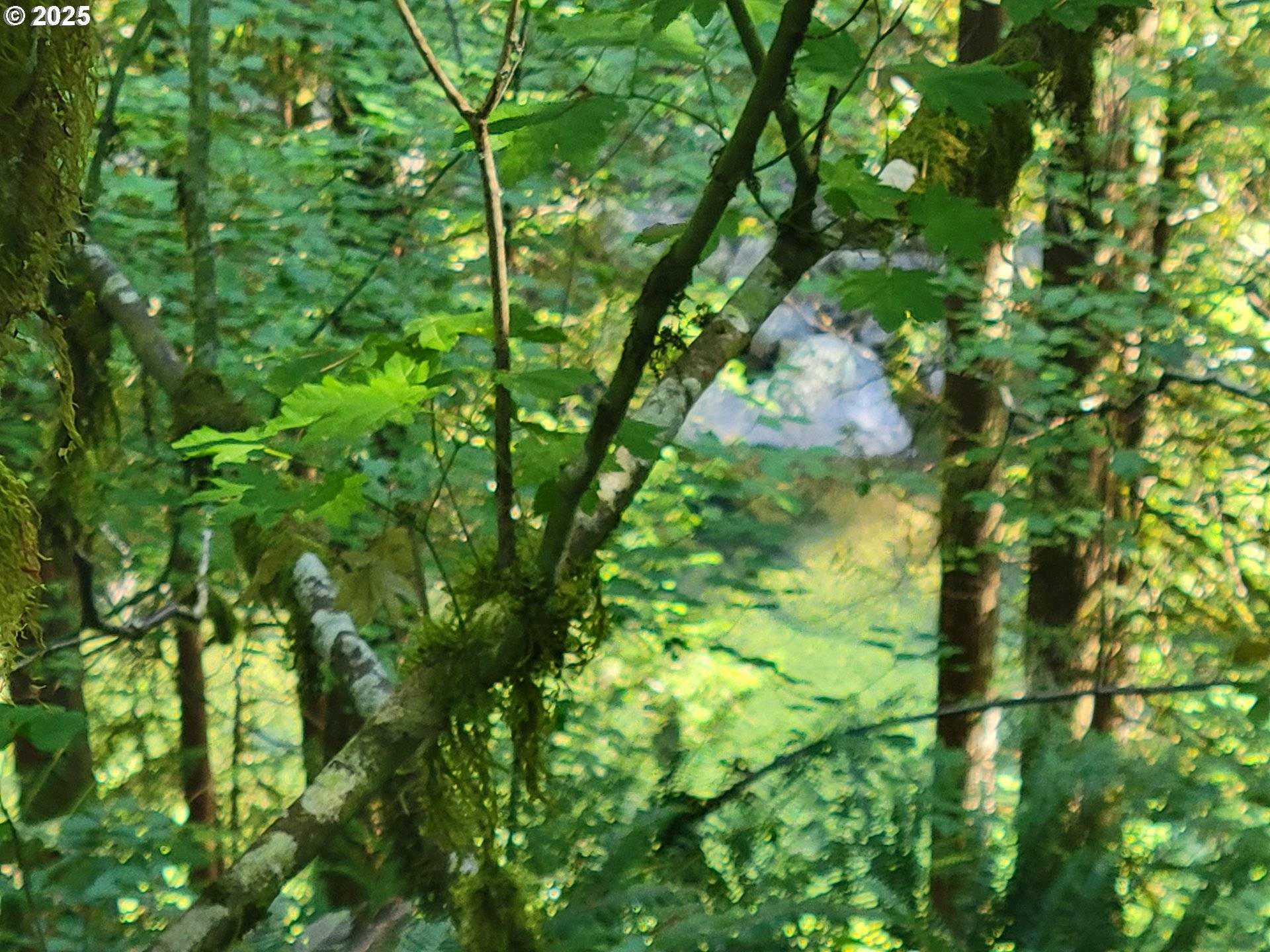 HESLEN RD, Carson, WA 98610