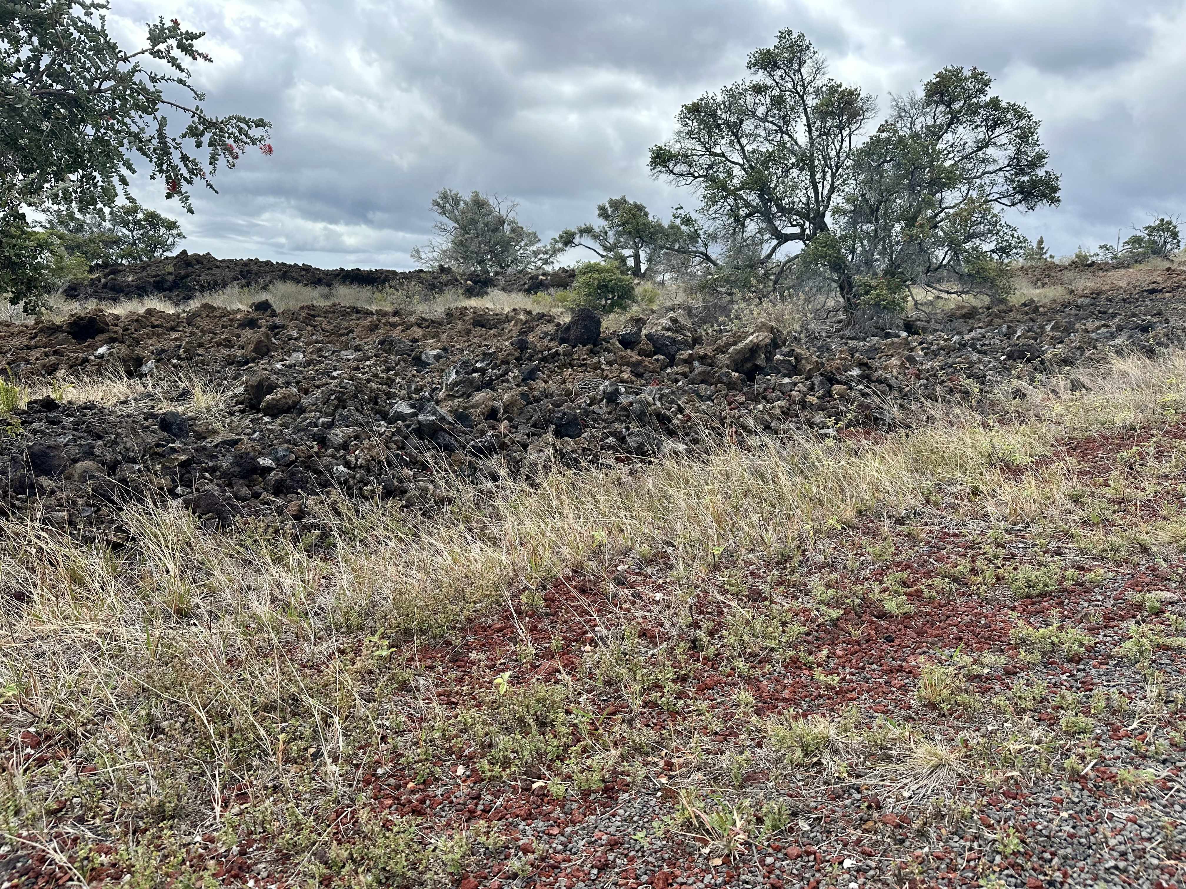 Ocean View, HI 96737,KAHILI BLVD