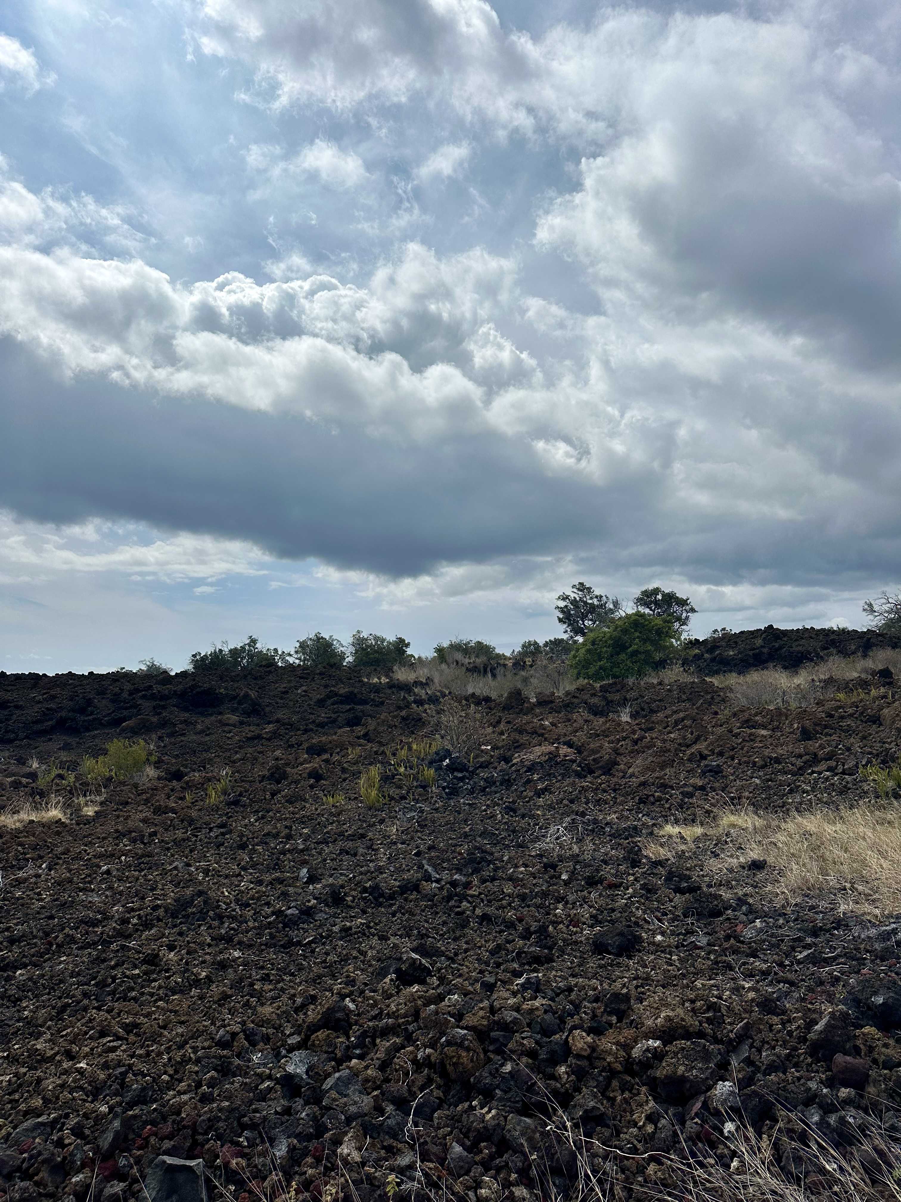 Ocean View, HI 96737,KAHILI BLVD