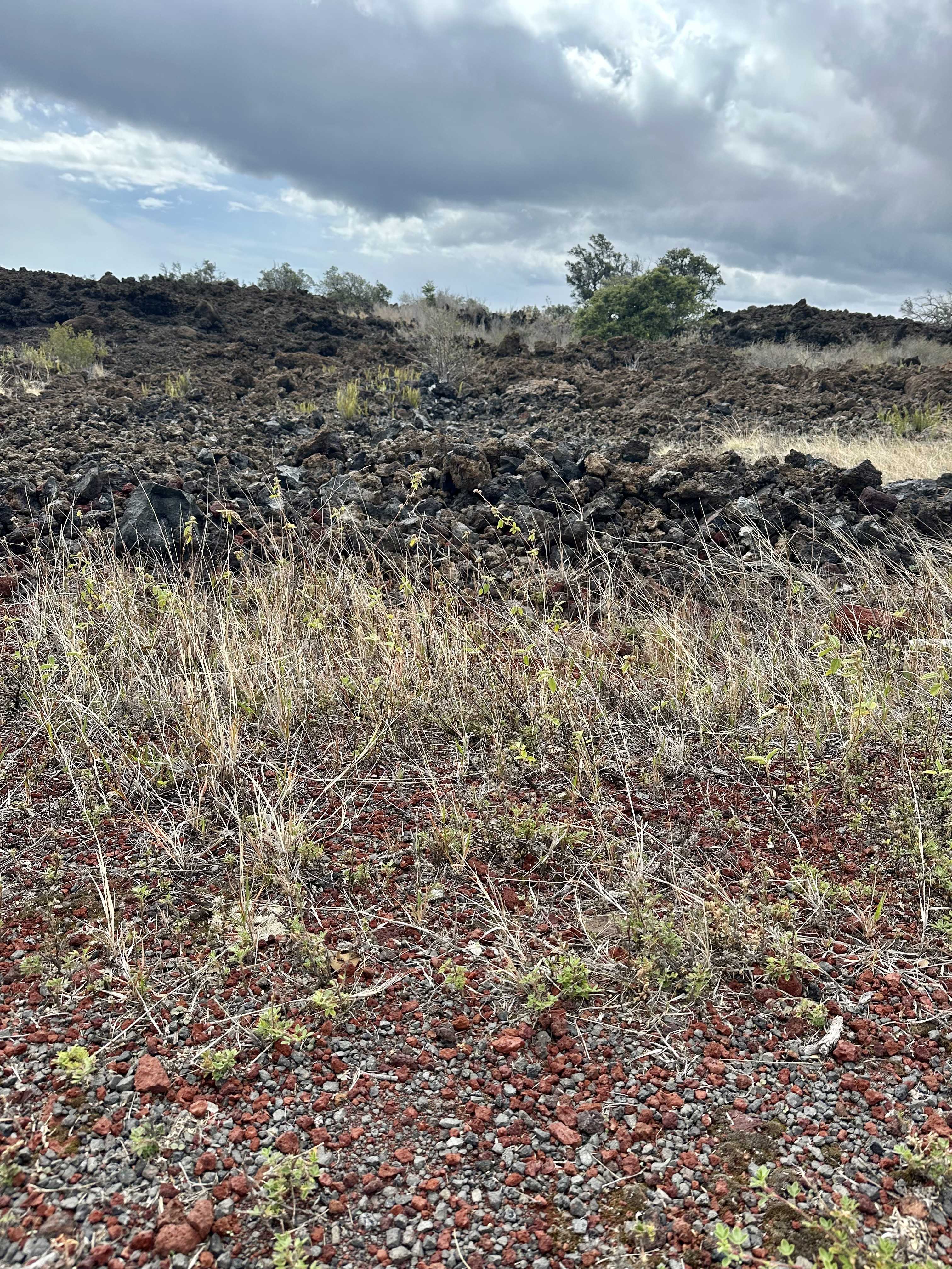 Ocean View, HI 96737,KAHILI BLVD