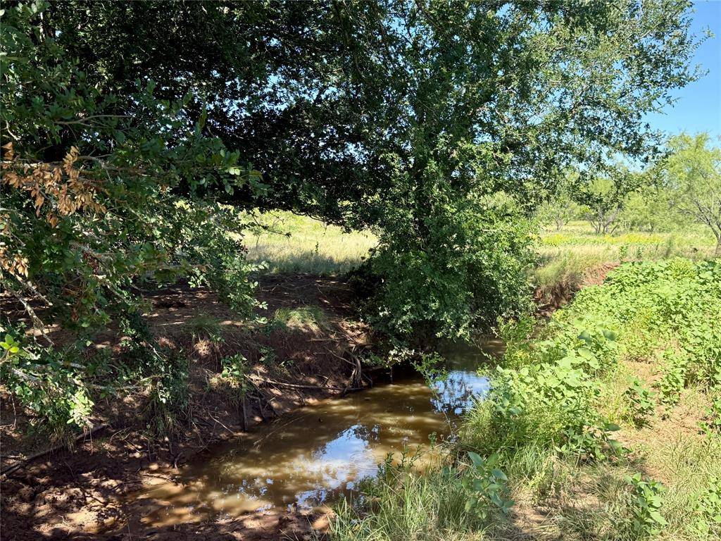 Cross Plains, TX 76443,TBD County Road 121