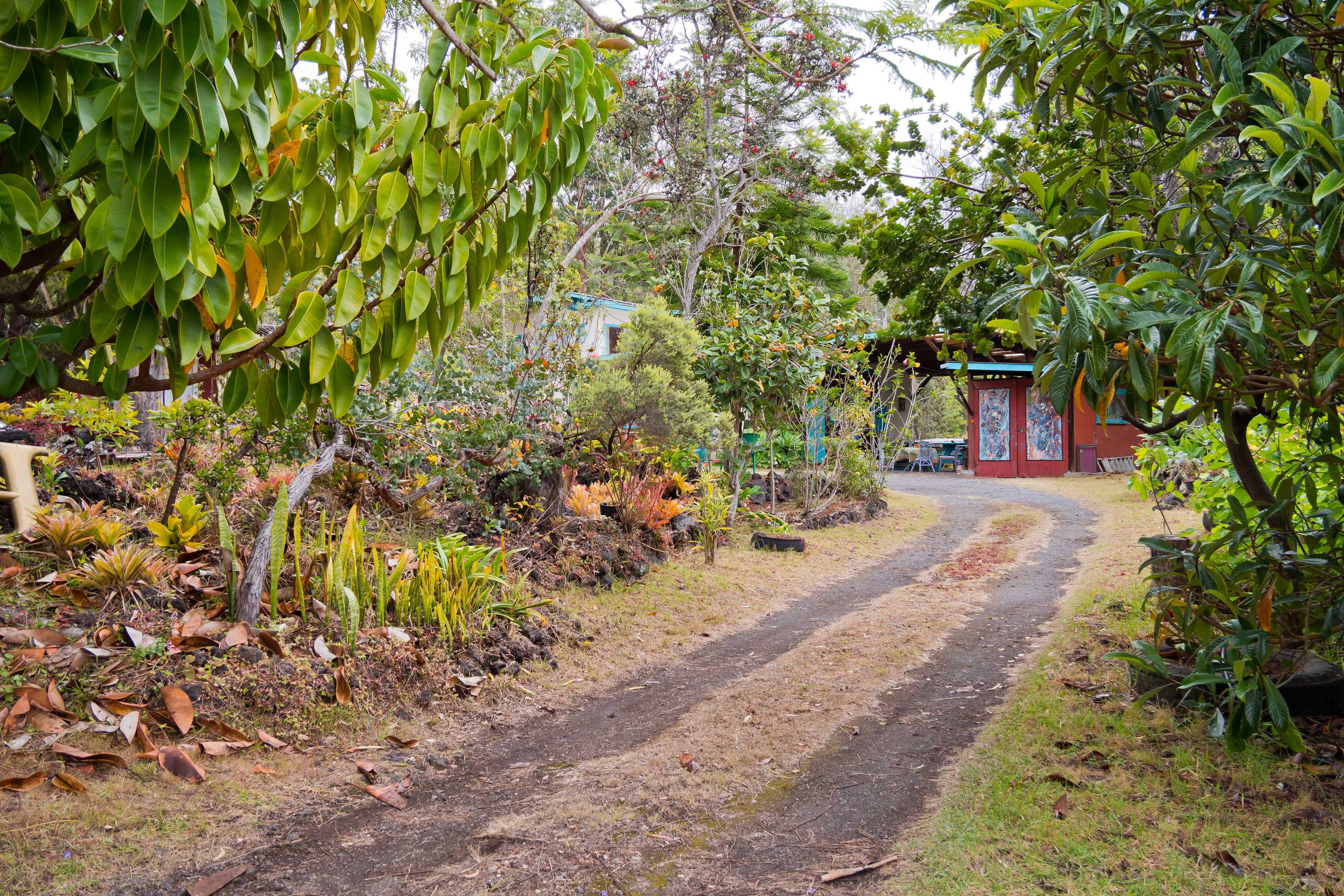 Ocean View, HI 96737,92-8830 KOA LN