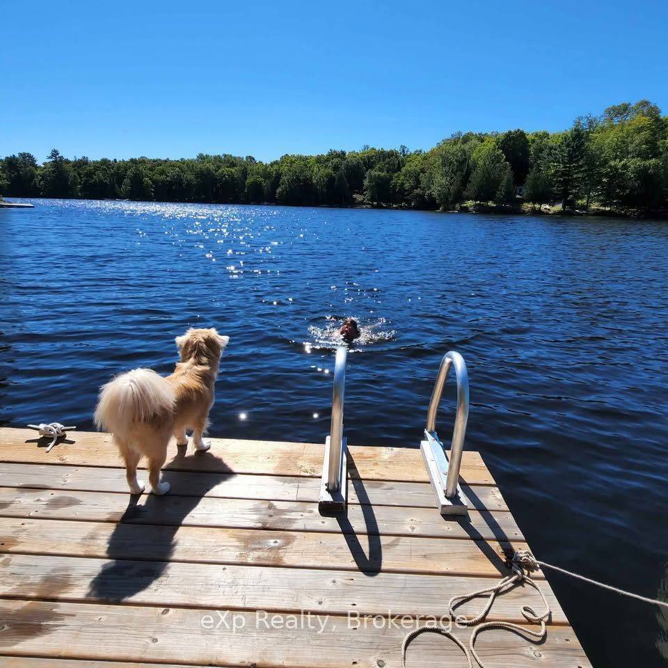 Magnetawan, ON P0A 1P0,9 North Poverty Bay RD