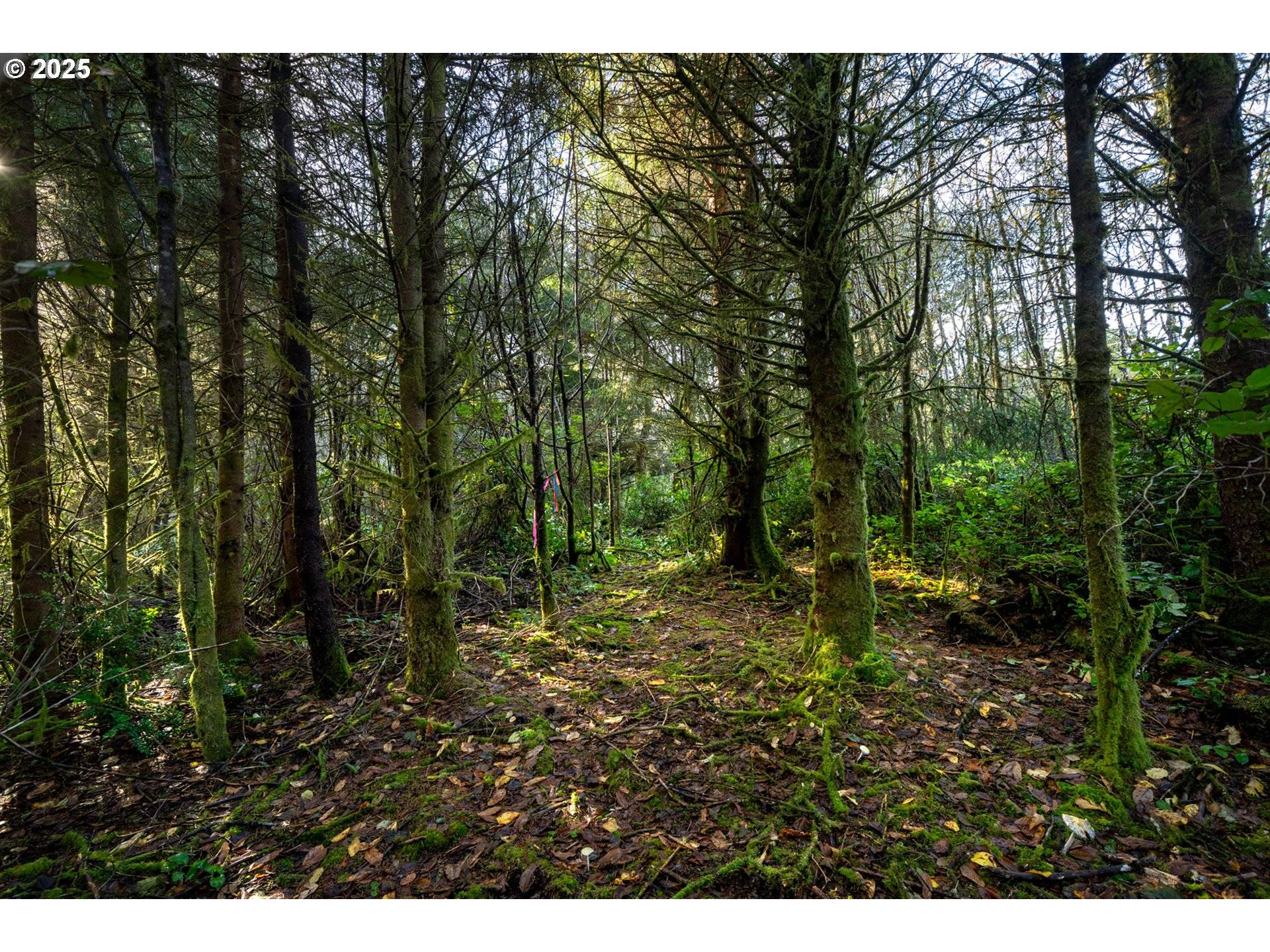 500 Sandlake RD, Cloverdale, OR 97112