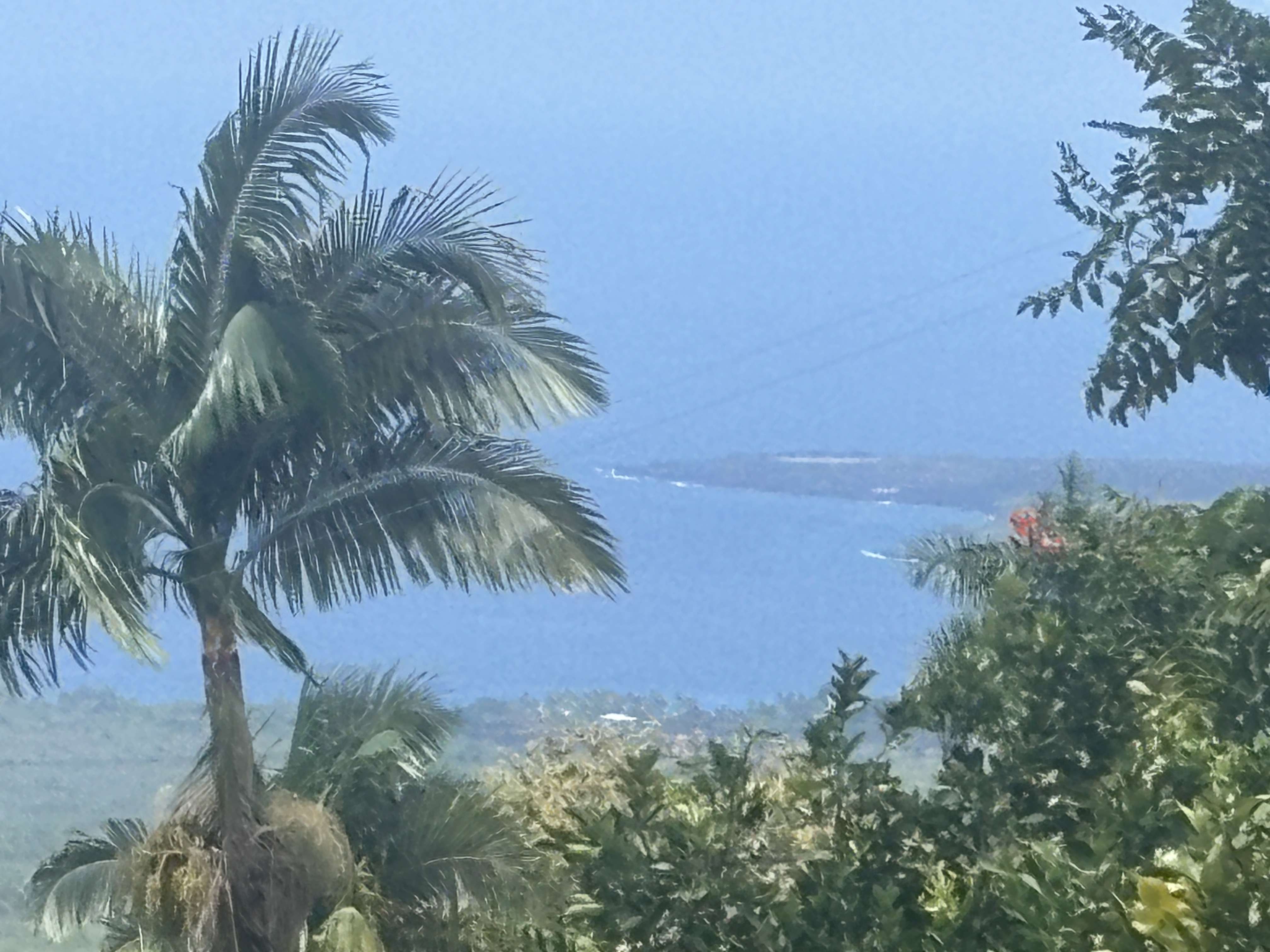 Captain Cook, HI 96704,84-1226 BRUNER RD