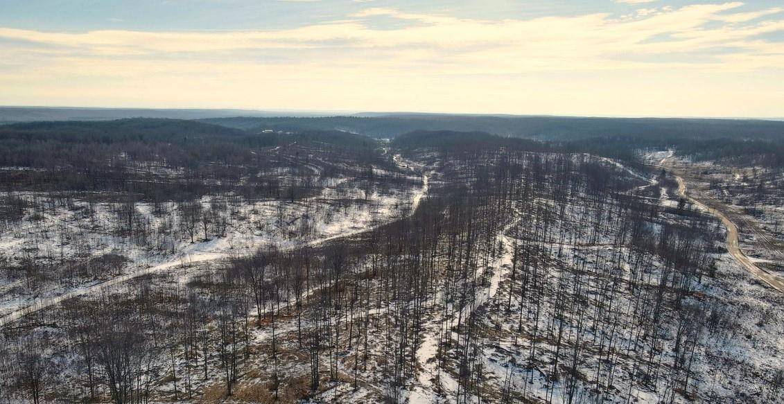 Frederic, MI 49733,00 Mount Frederic RD