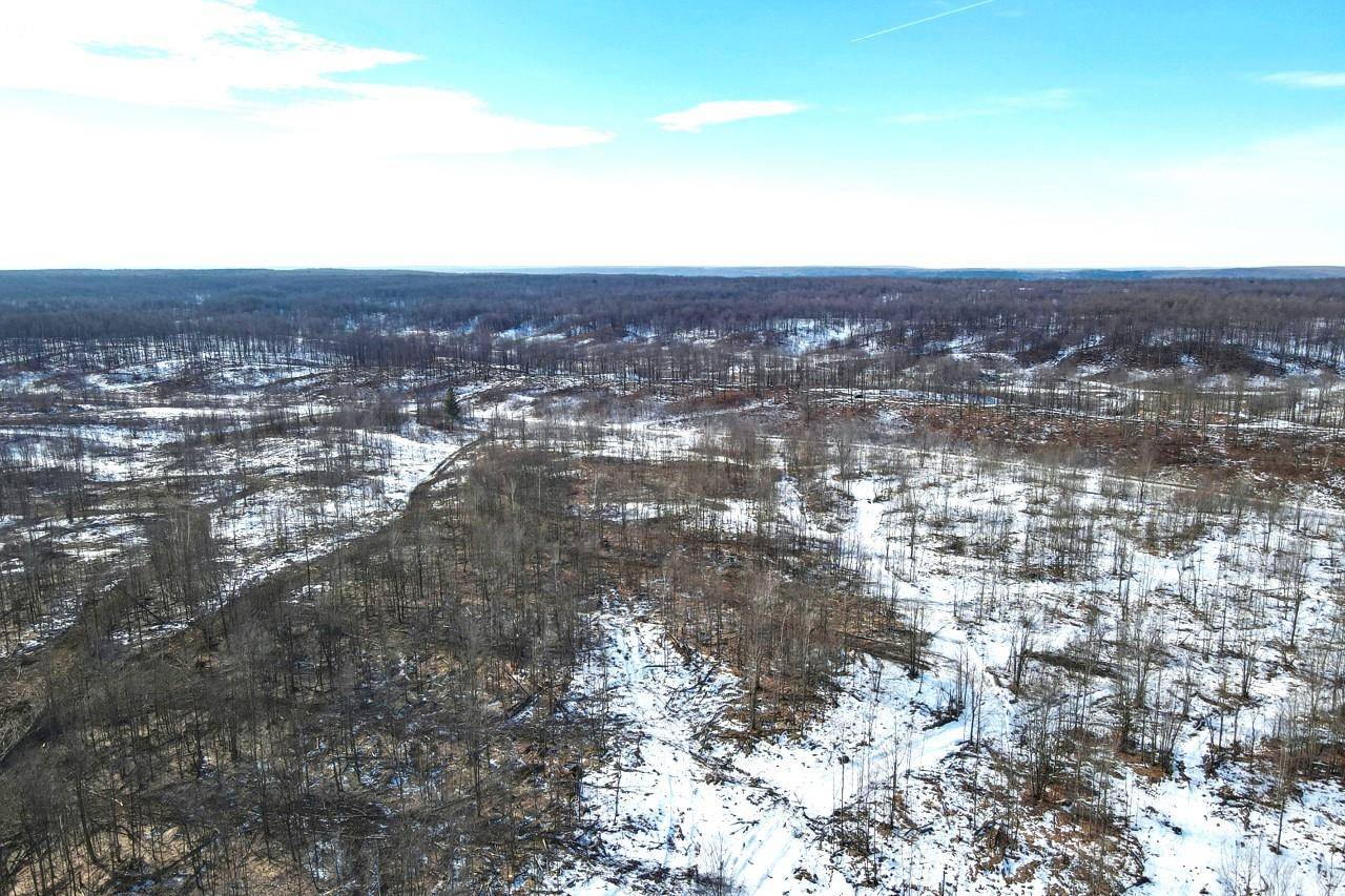 Frederic, MI 49733,00 Mount Frederic RD