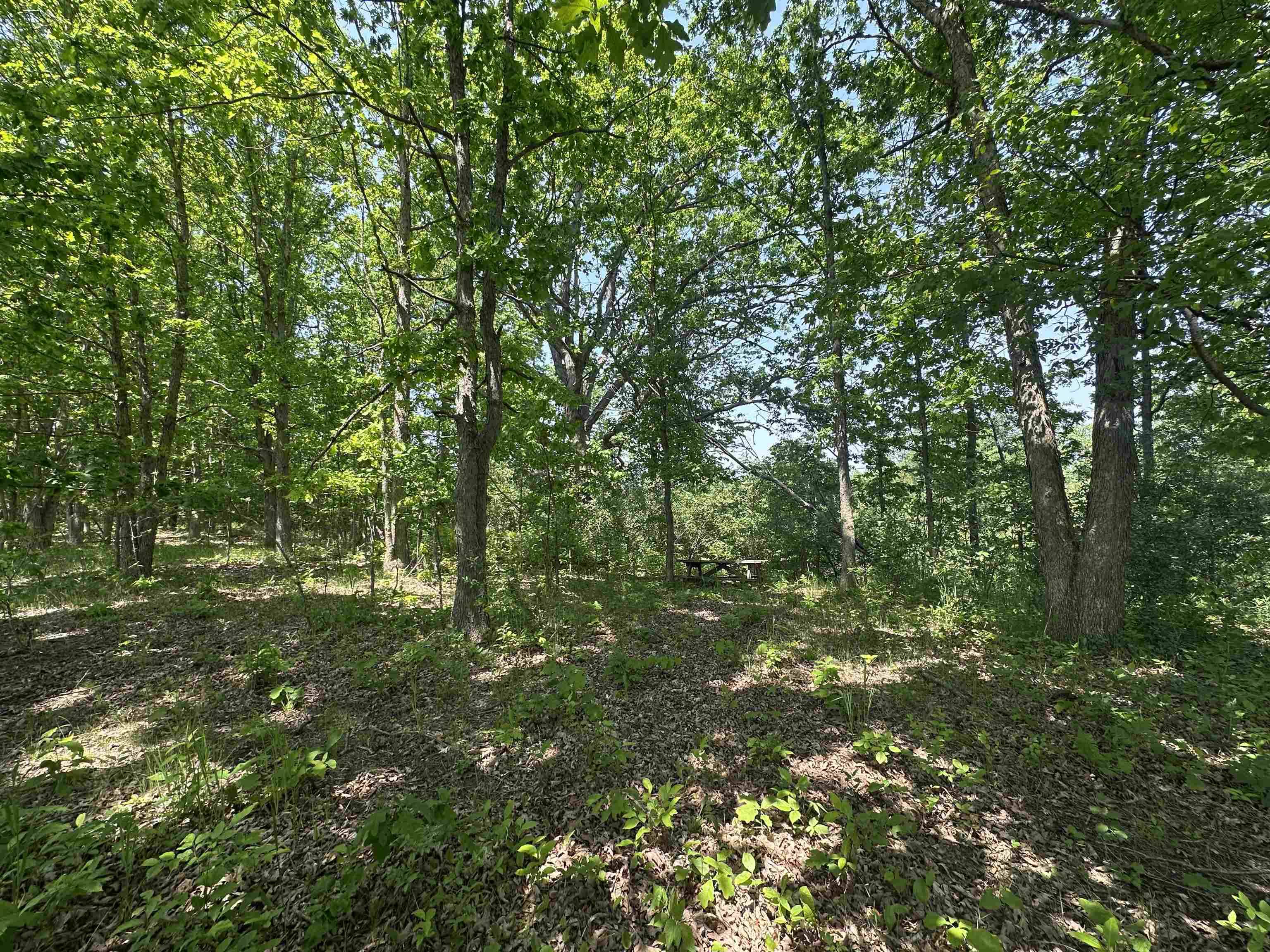 Weidman, MI 48893,1035 Bonanza LN