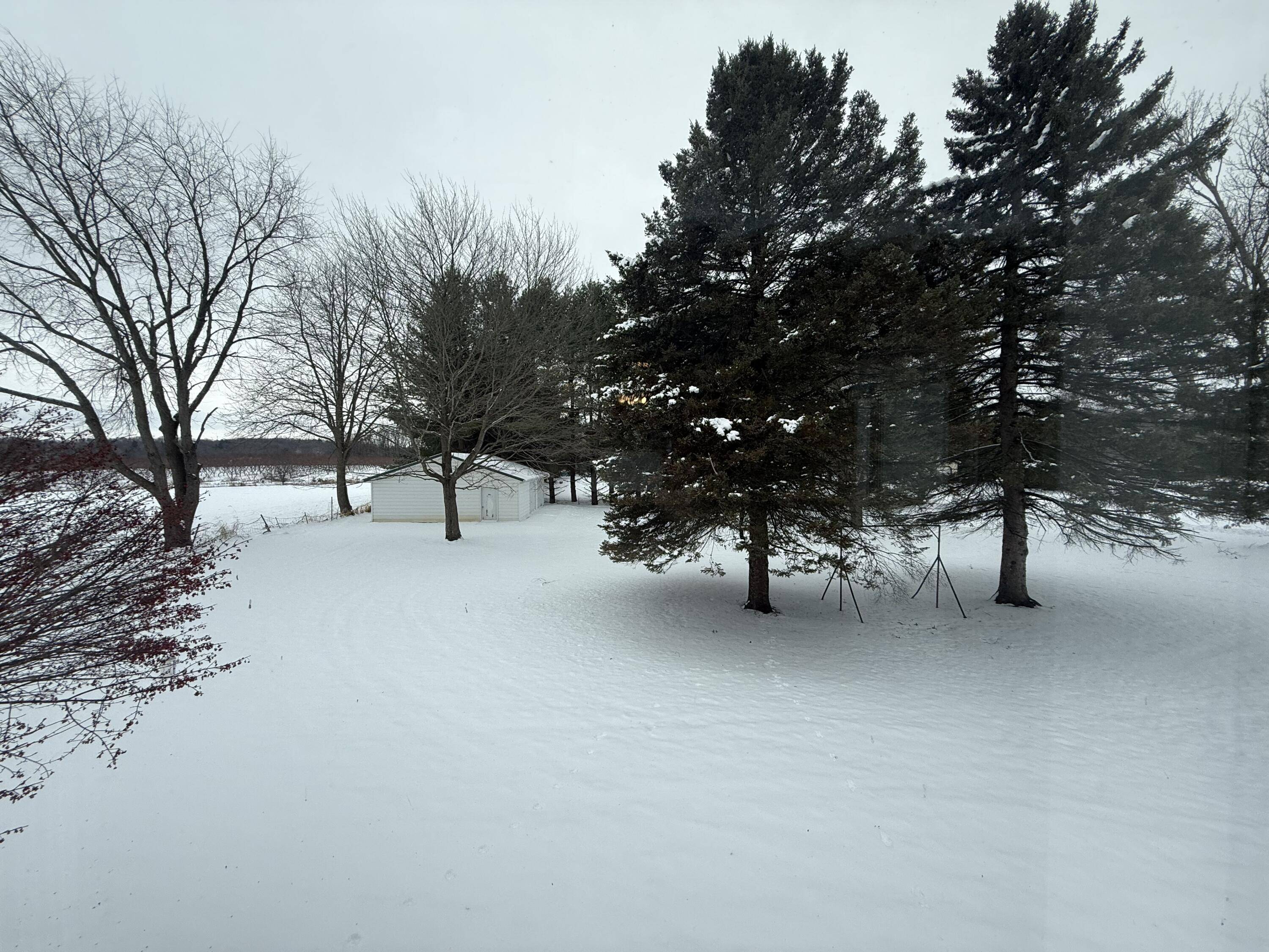 Ionia, MI 48846,265 Dildine RD