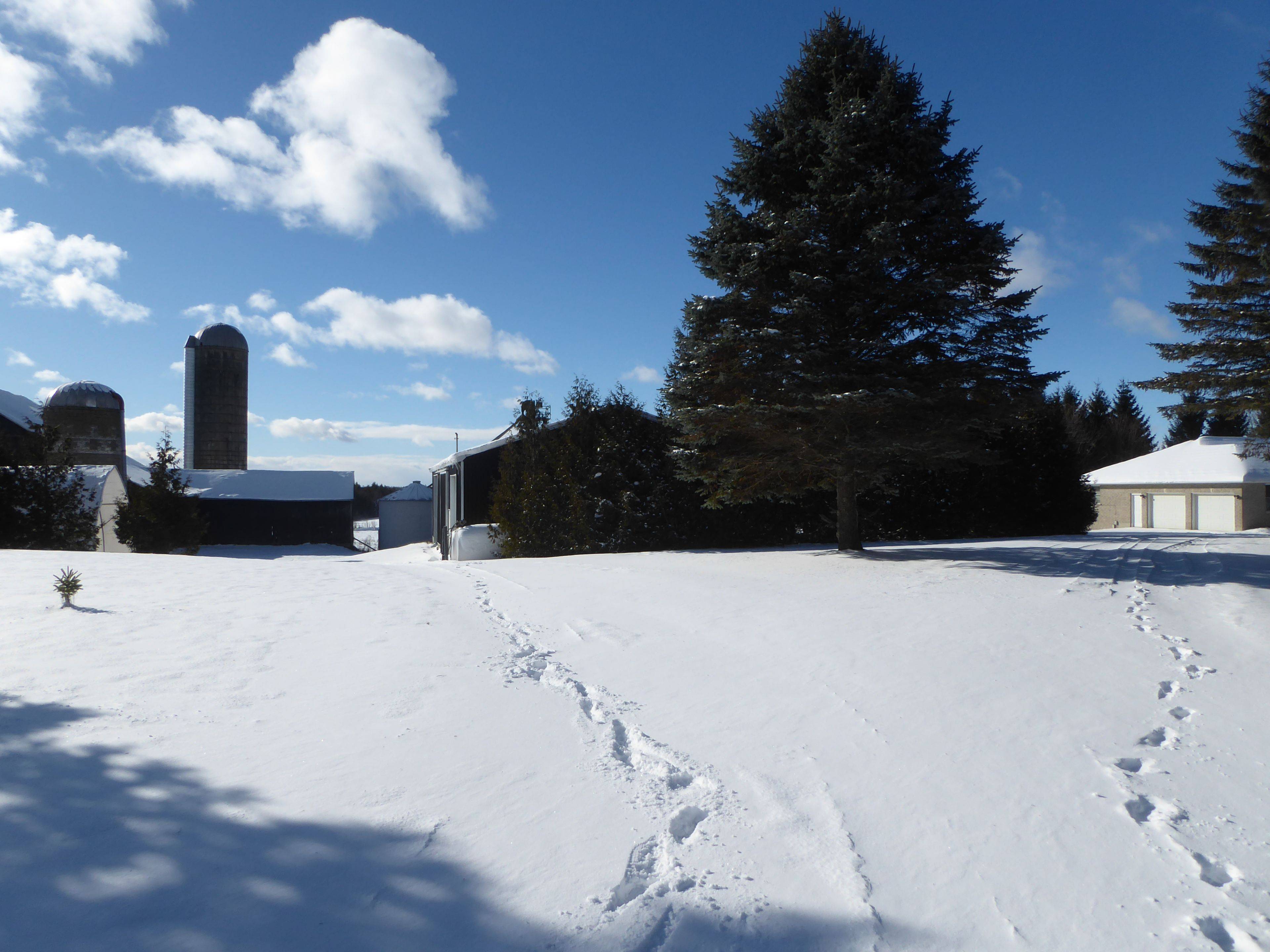 Erin, ON L7J 2L9,4958 Wellington Road 125 N/A