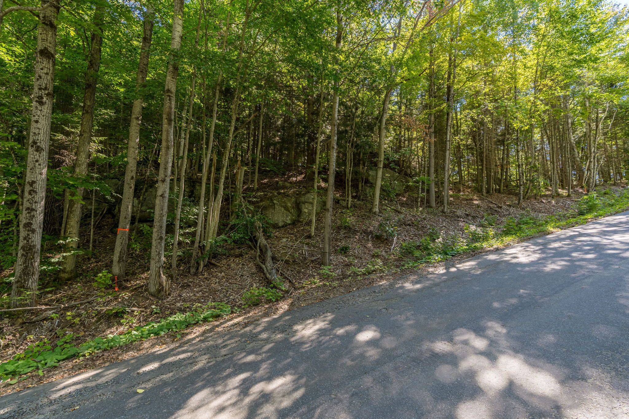 Lake Of Bays, ON P1H 2J6,0 East Walker Lake RD