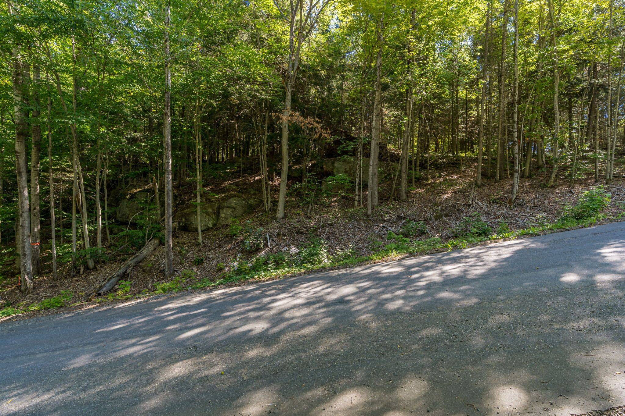 Lake Of Bays, ON P1H 2J6,0 East Walker Lake RD