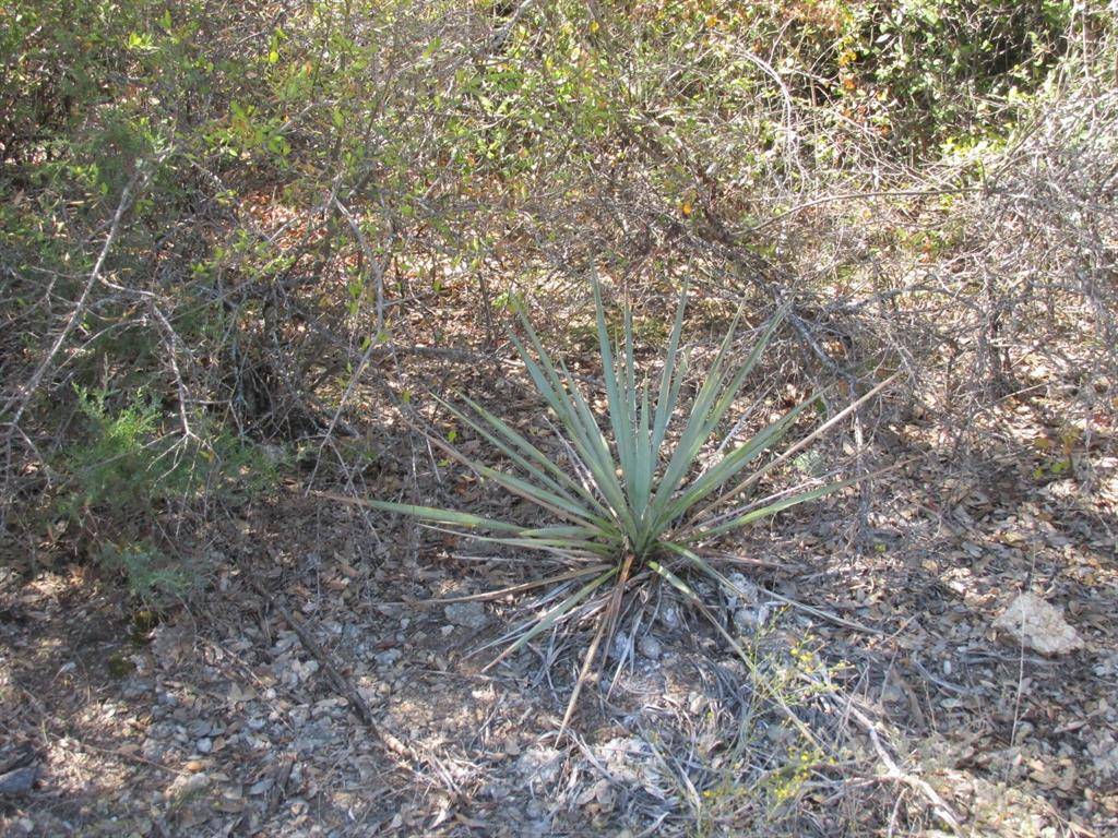 Weatherford, TX 76085,Lot 118 Stonebridge Drive