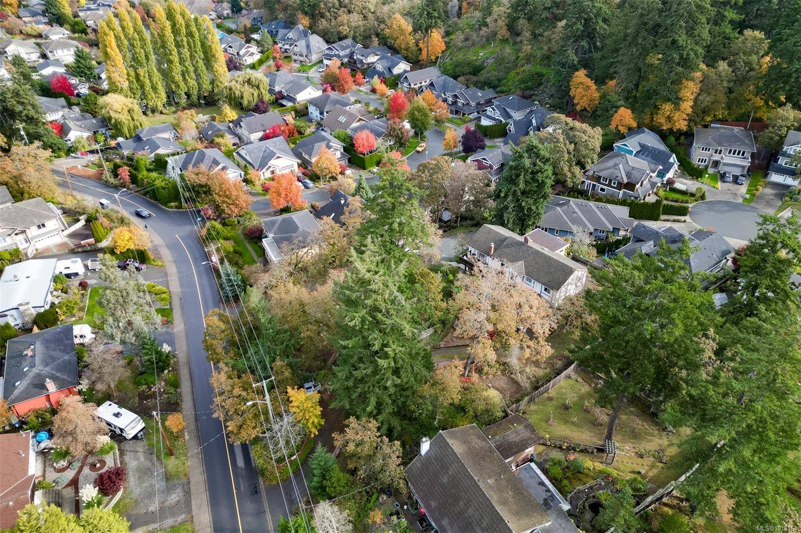 Saanich, BC V8Z 5A3,3841 Wilkinson Rd