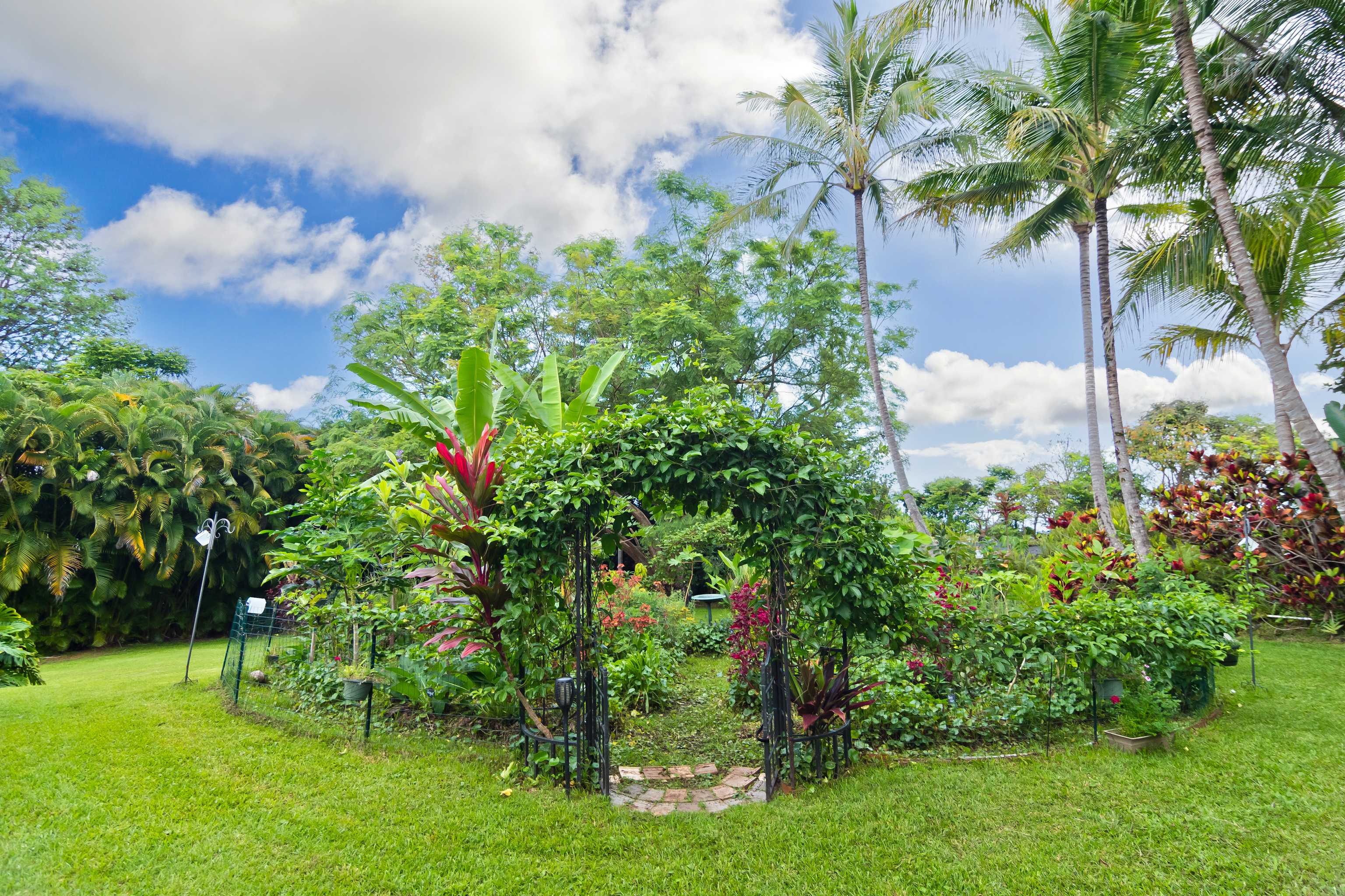 Kealakekua, HI 96750,81-1031 KEOPUKA MAUKA RD