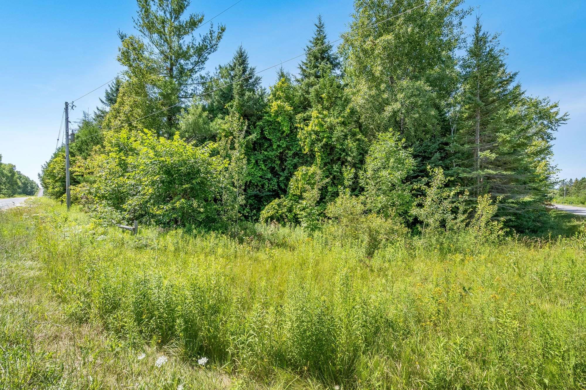 Essa, ON L0M 1T0,8018 8th Line