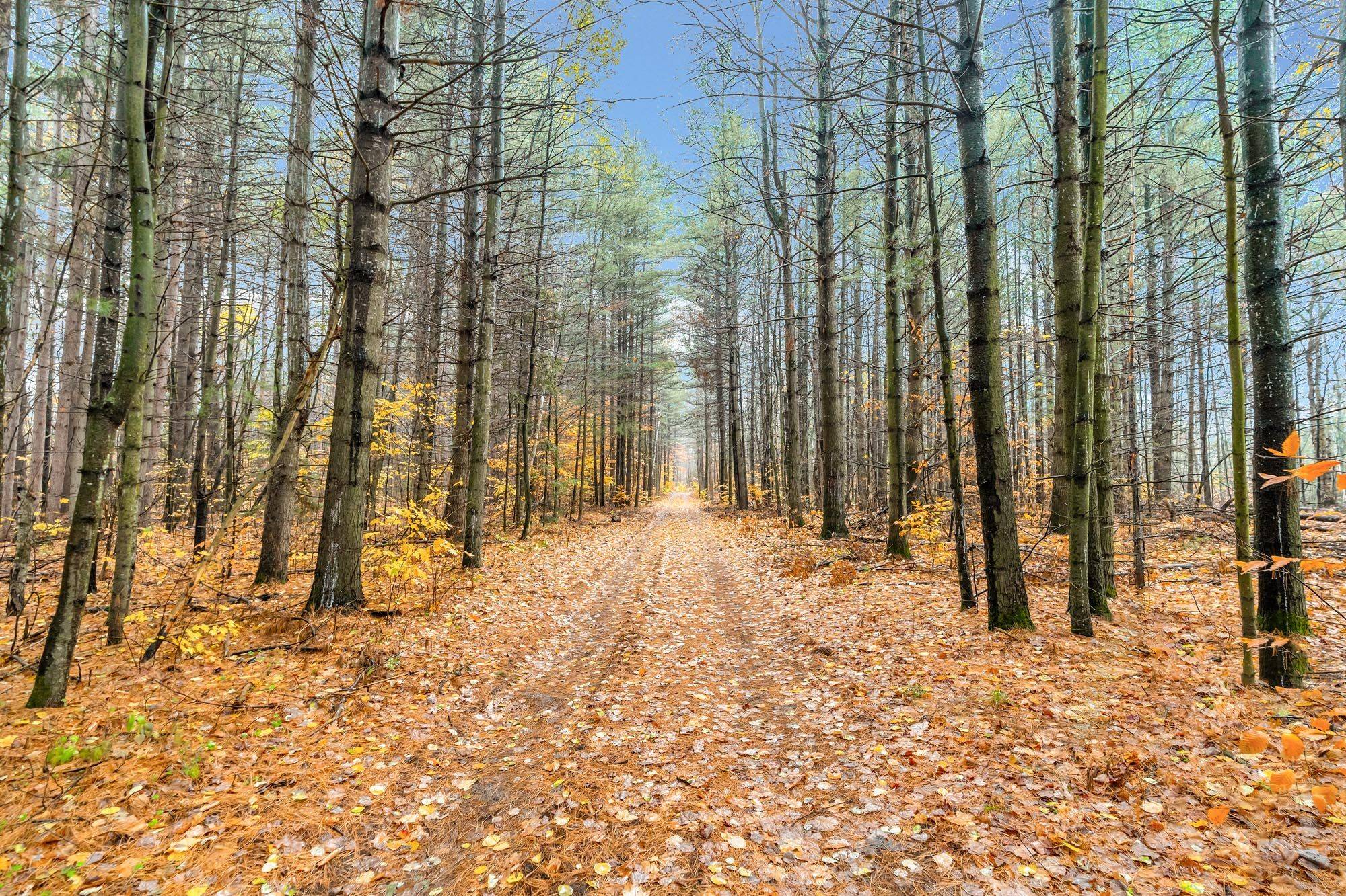 Clearview, ON L0M 1N0,5992 Concession 2 Sunnidale N/A