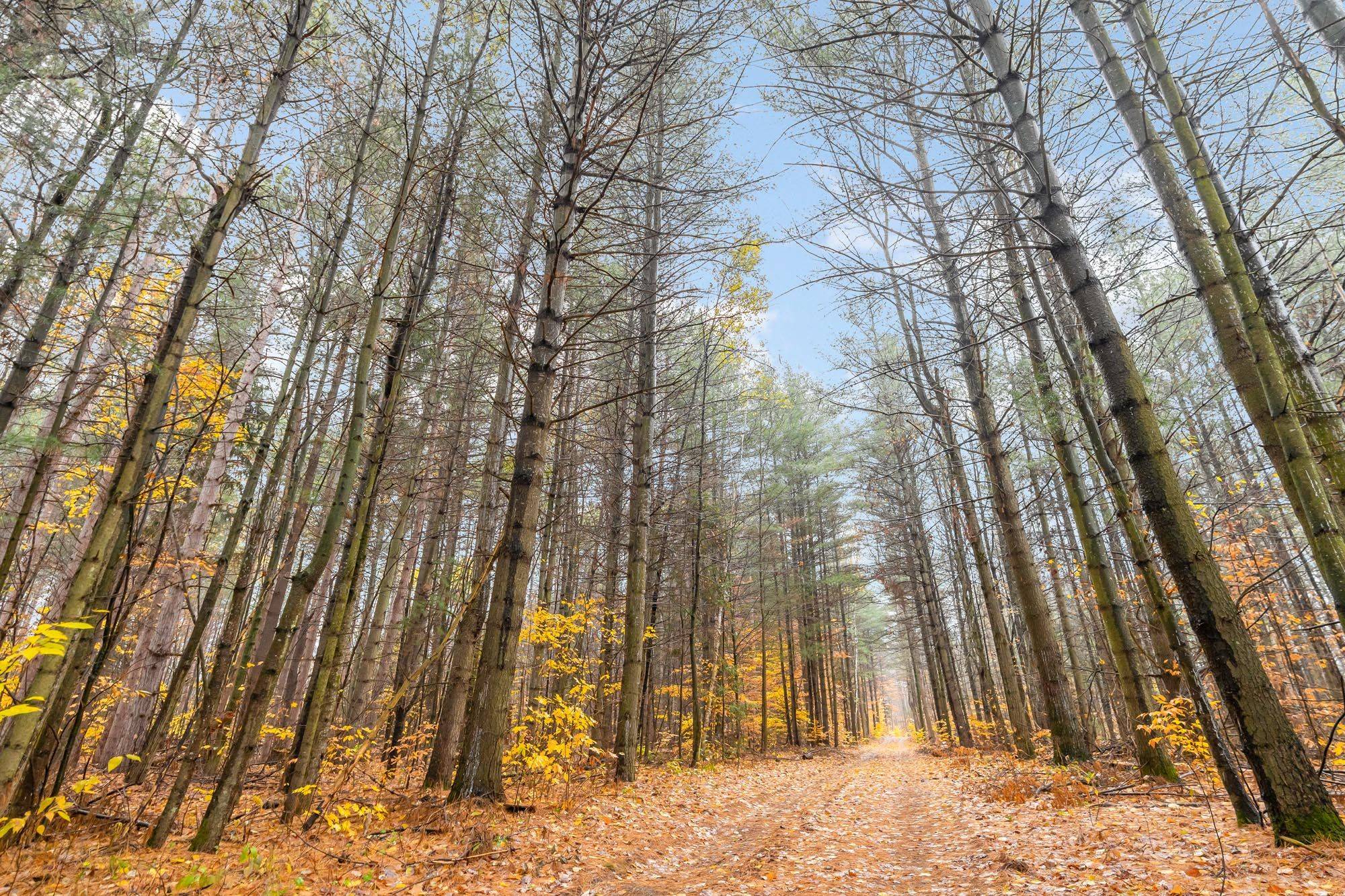 Clearview, ON L0M 1N0,5992 Concession 2 Sunnidale N/A