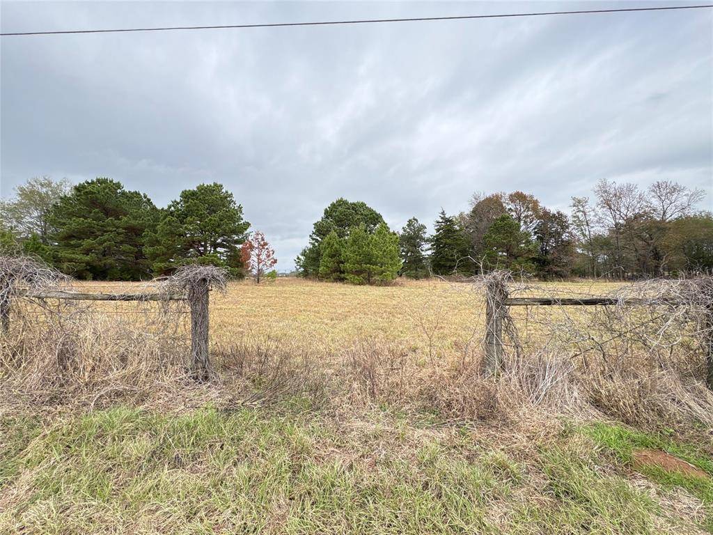 Omaha, TX 75571,TBD CR 4301 Plainview Rd