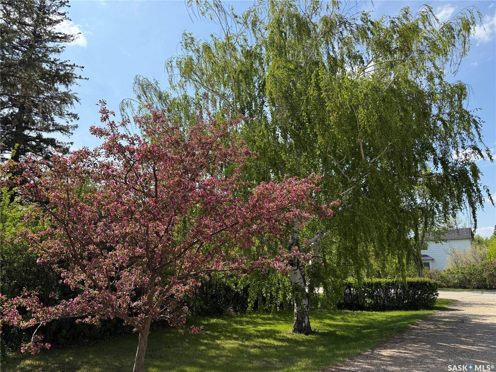 Alameda, SK S0C 0A0,318 3rd AVENUE