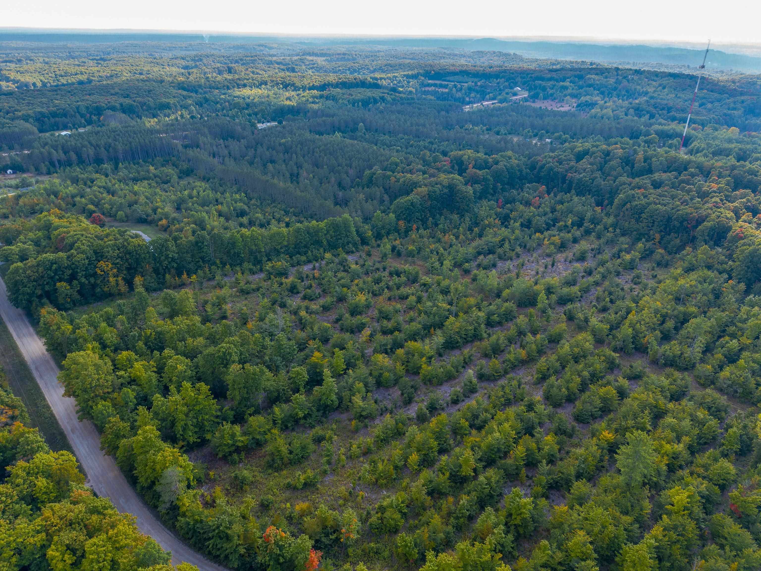 Rapid City, MI 49676,VL 17.5A NW Walker Road, Nw