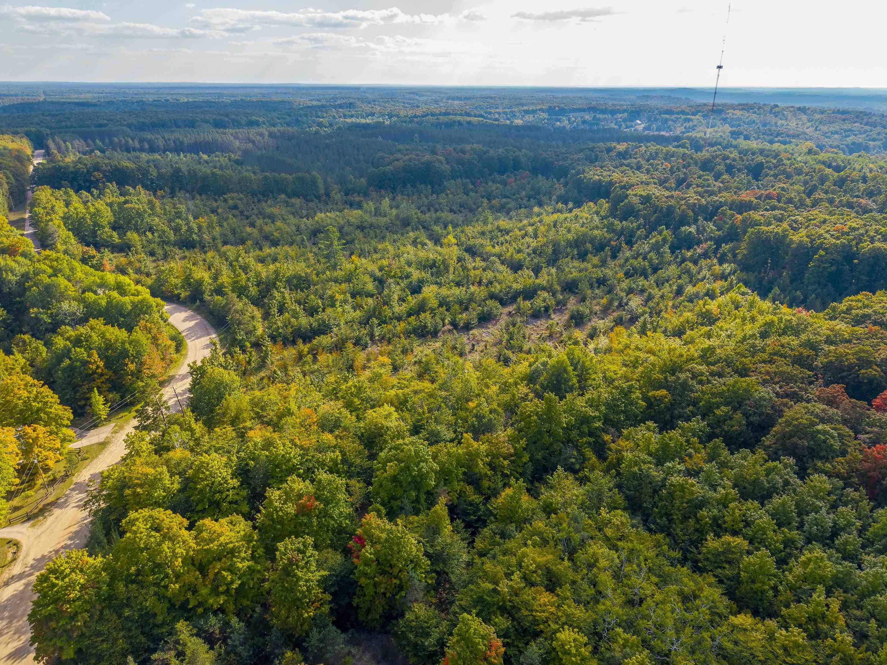 Rapid City, MI 49676,VL 30.75 NW Walker RD