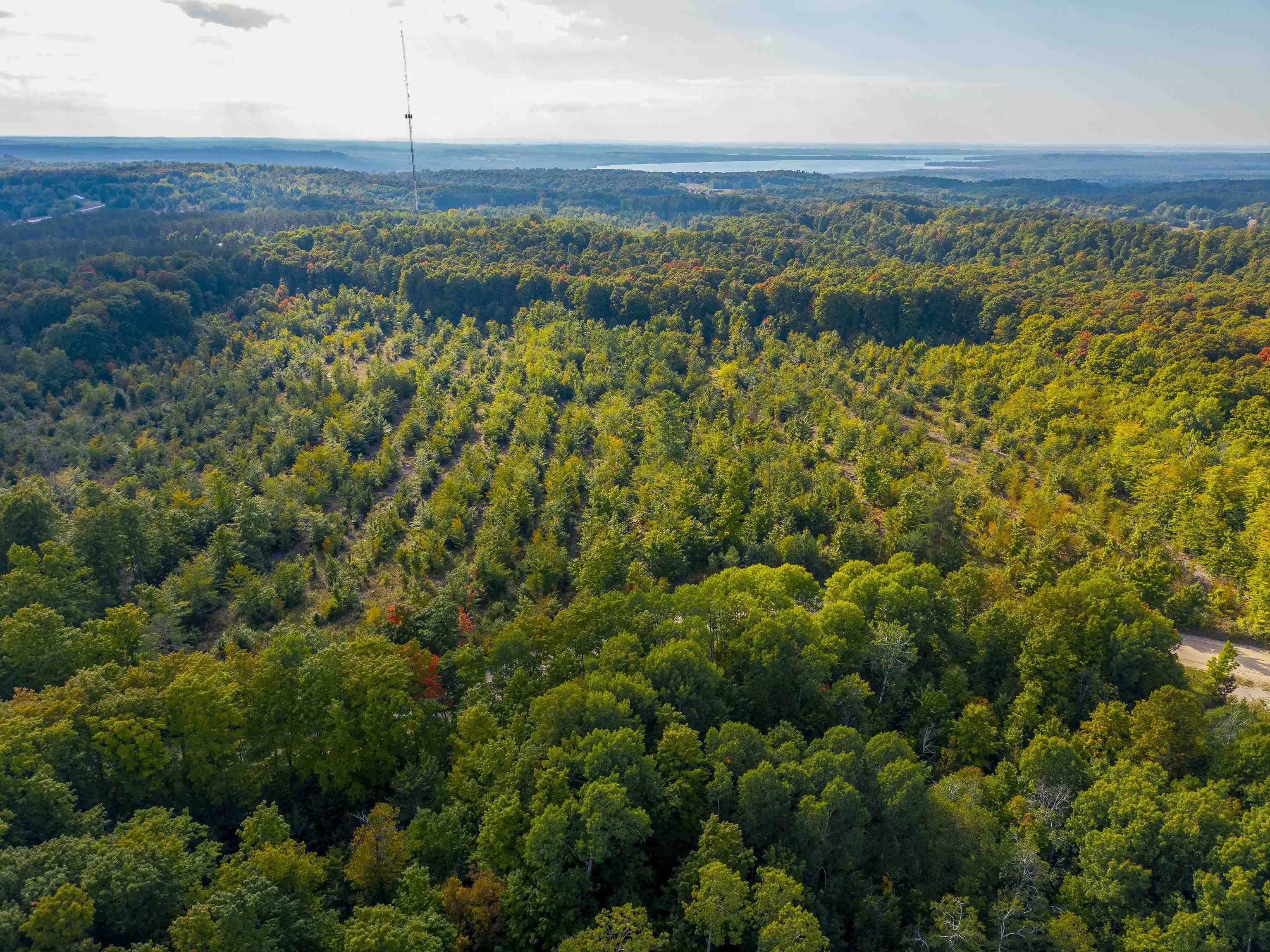 Rapid City, MI 49676,VL 30.75 NW Walker RD