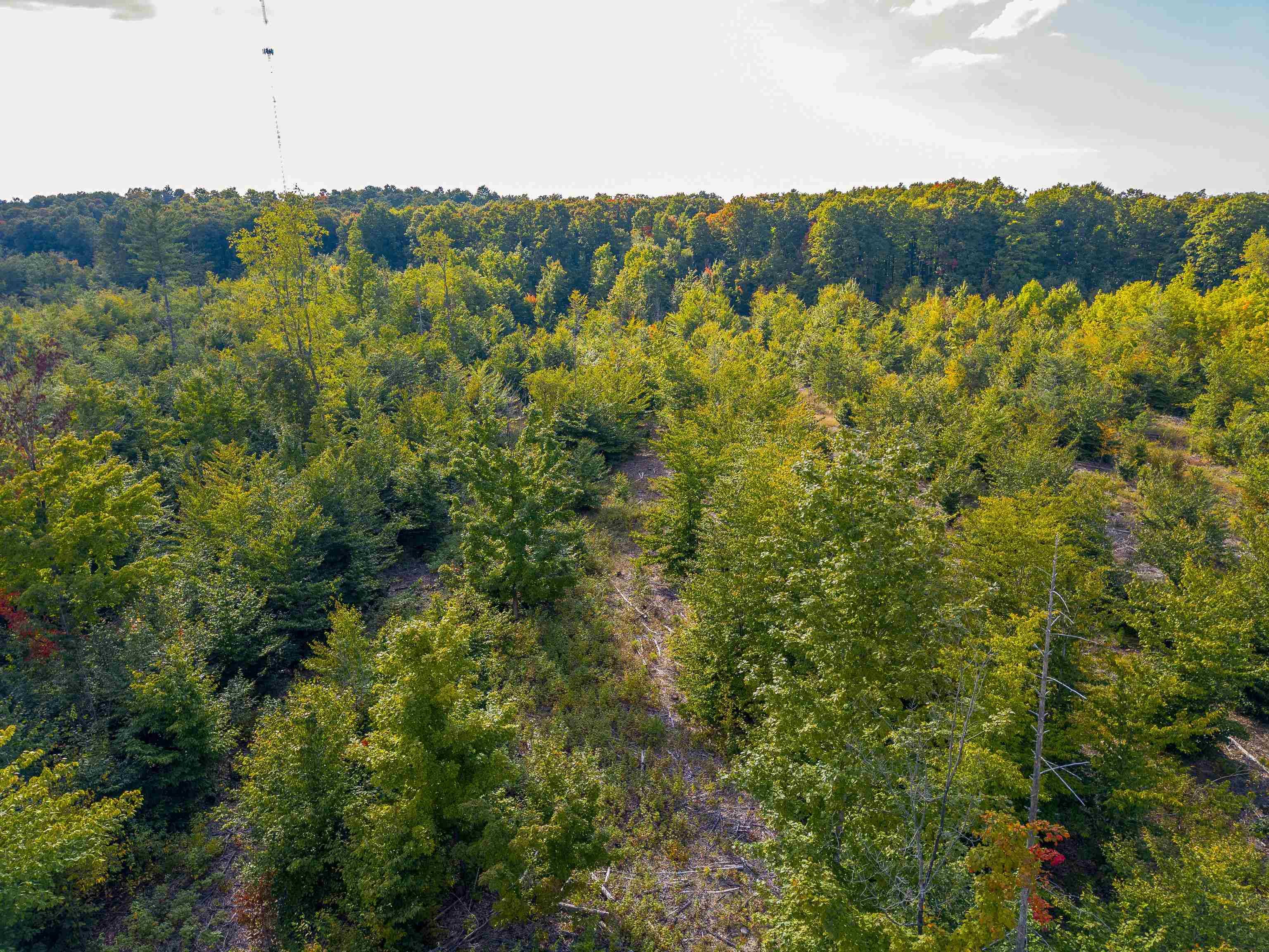 Rapid City, MI 49676,VL 30.75 NW Walker RD