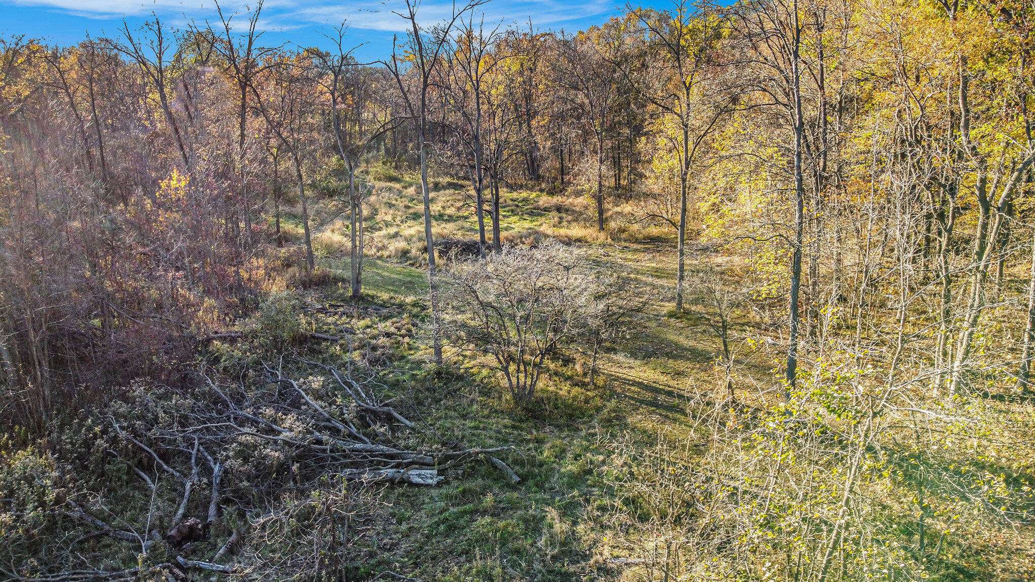 Perry, MI 48872,13774 Shaftsburg RD