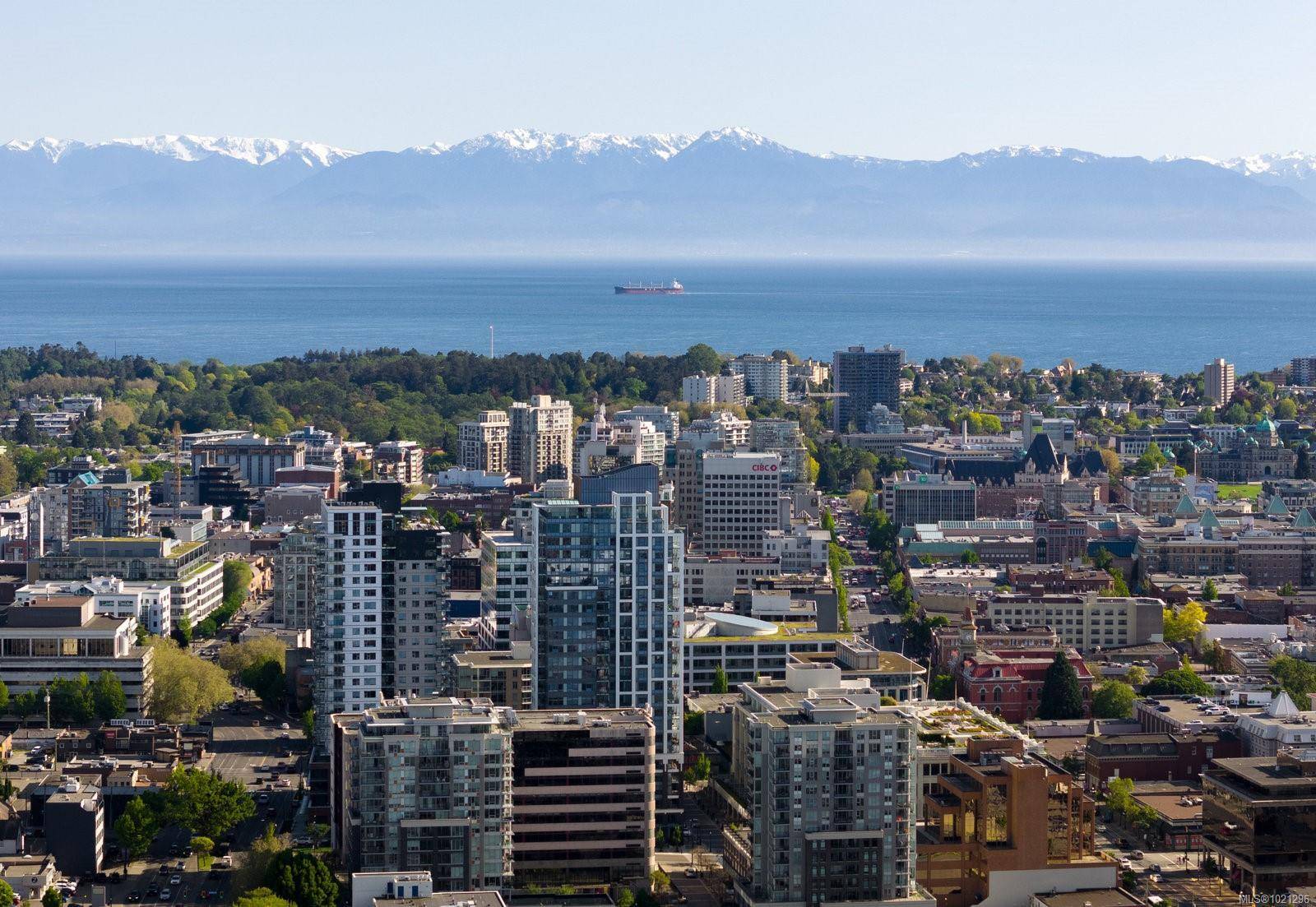 Victoria, BC V8T 0C7,777 Herald St #1408