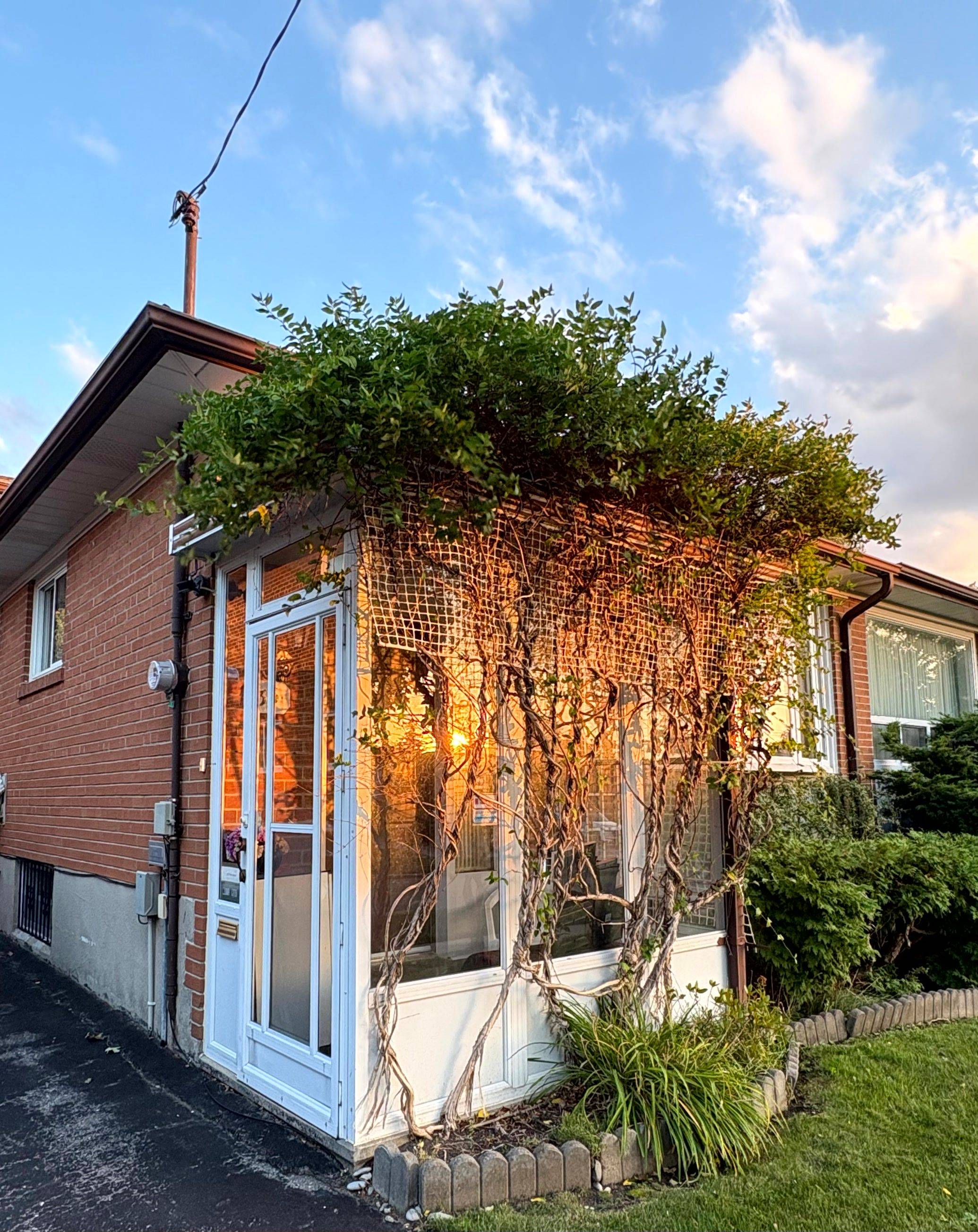 Toronto E07, ON M1S 1X9,33 Pitfield RD