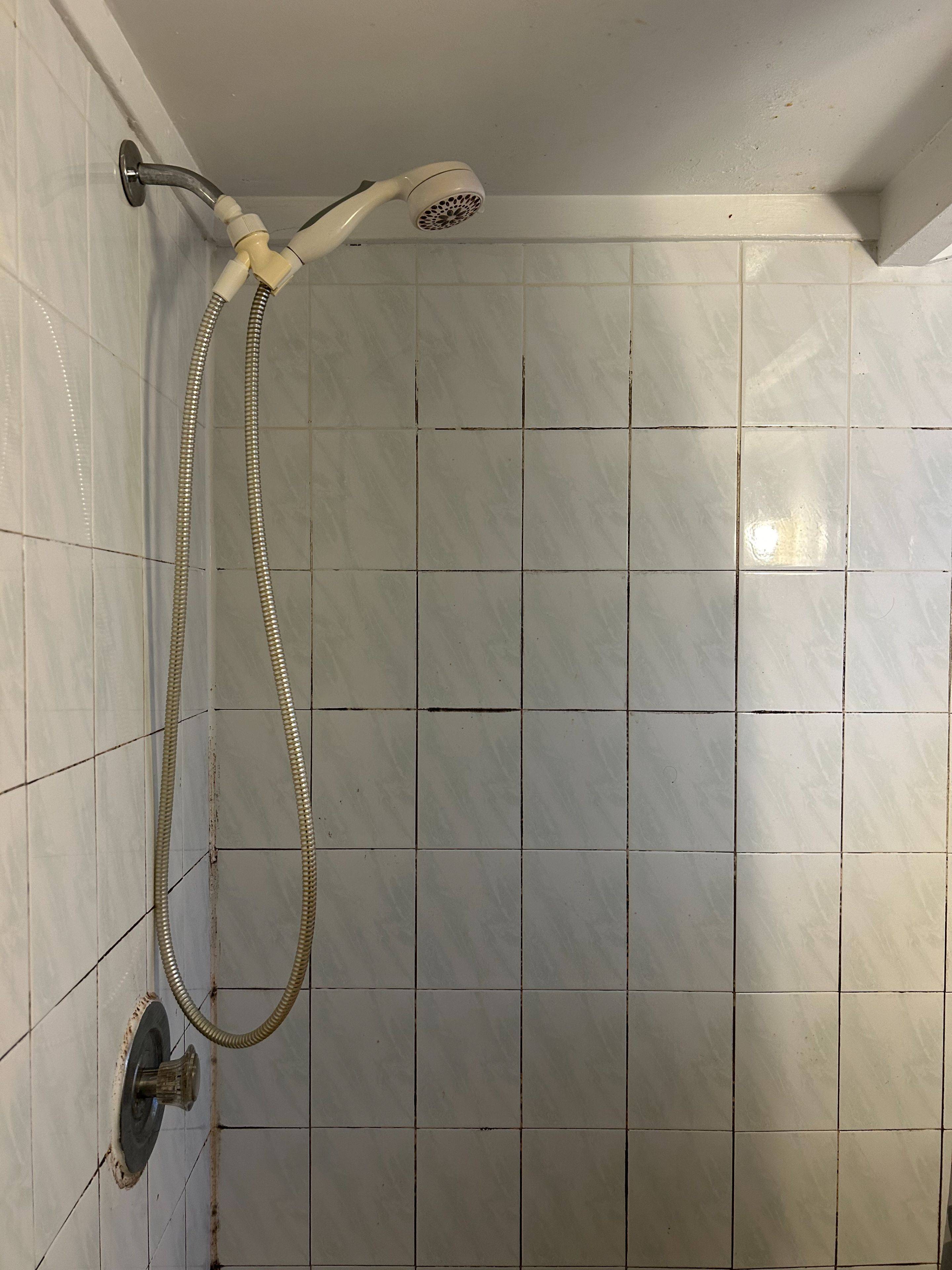 Toronto E04, ON M1L 1R9,62 Newlands Ave AVE #Basement