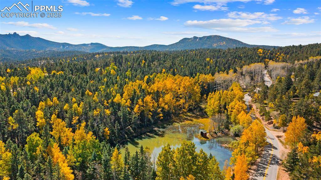 Woodland Park, CO 80863,2558 County Road 28