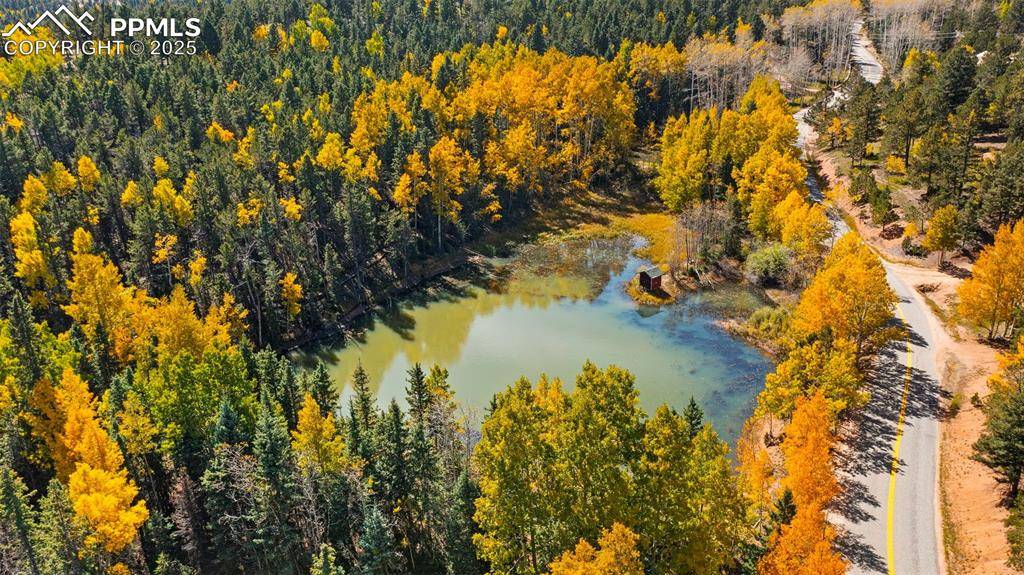 Woodland Park, CO 80863,2558 County Road 28