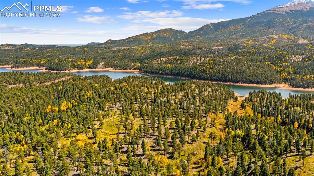 Woodland Park, CO 80863,2558 County Road 28