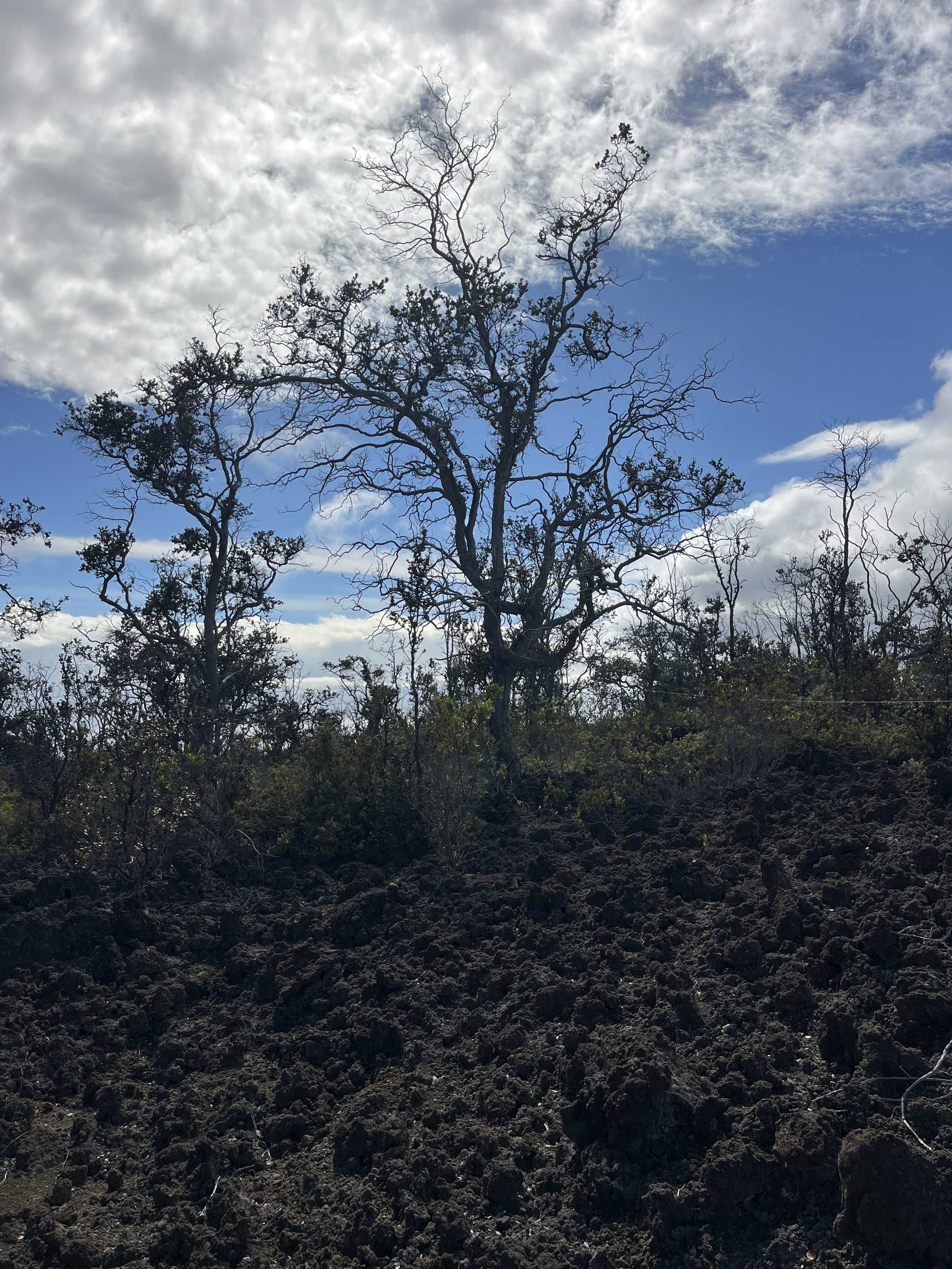 Ocean View, HI 96737,ISLAND BLVD