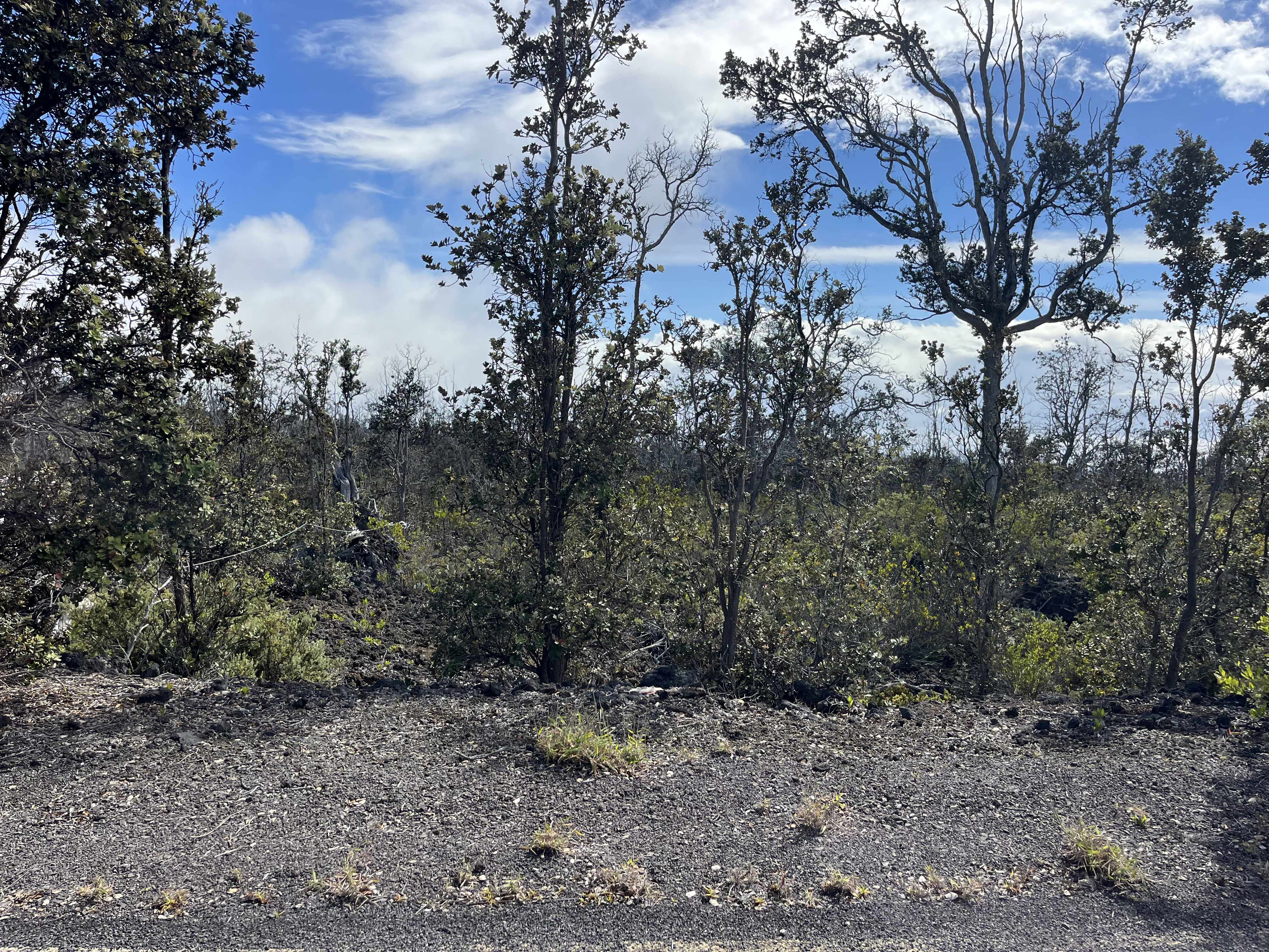 Ocean View, HI 96737,ISLAND BLVD