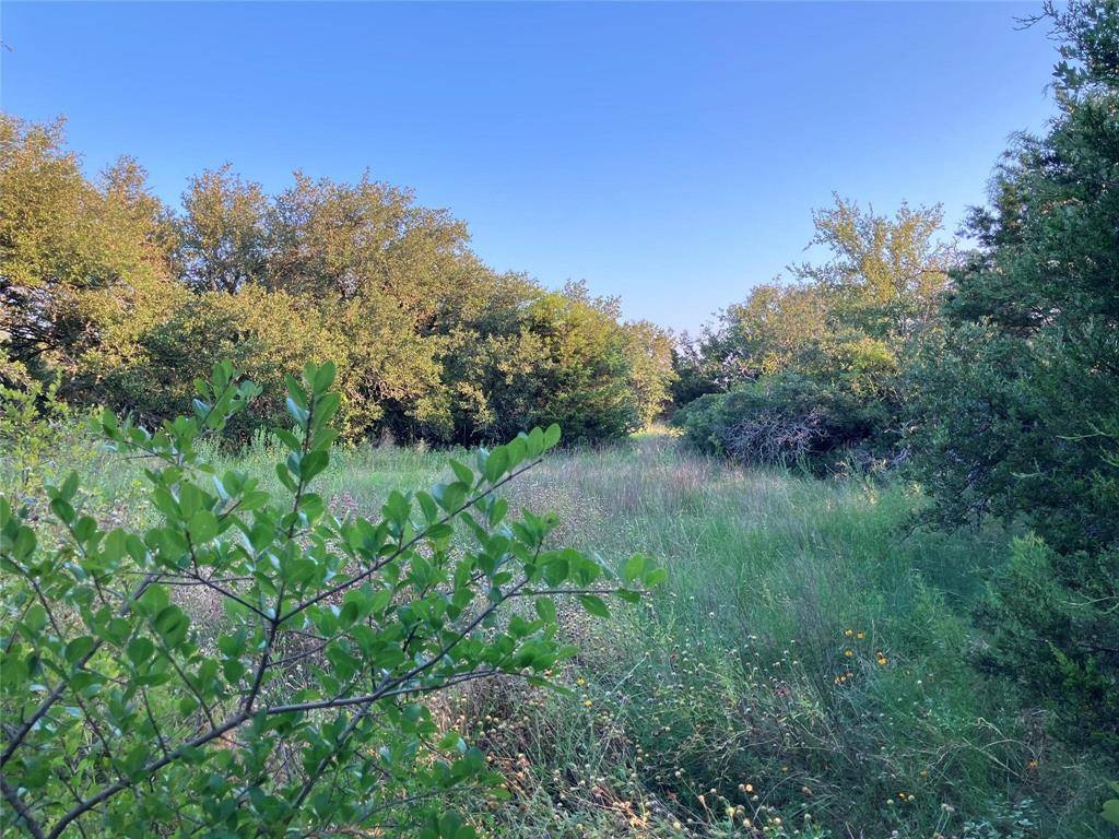 Desdemona, TX 76445,Tract 19 County Road 493