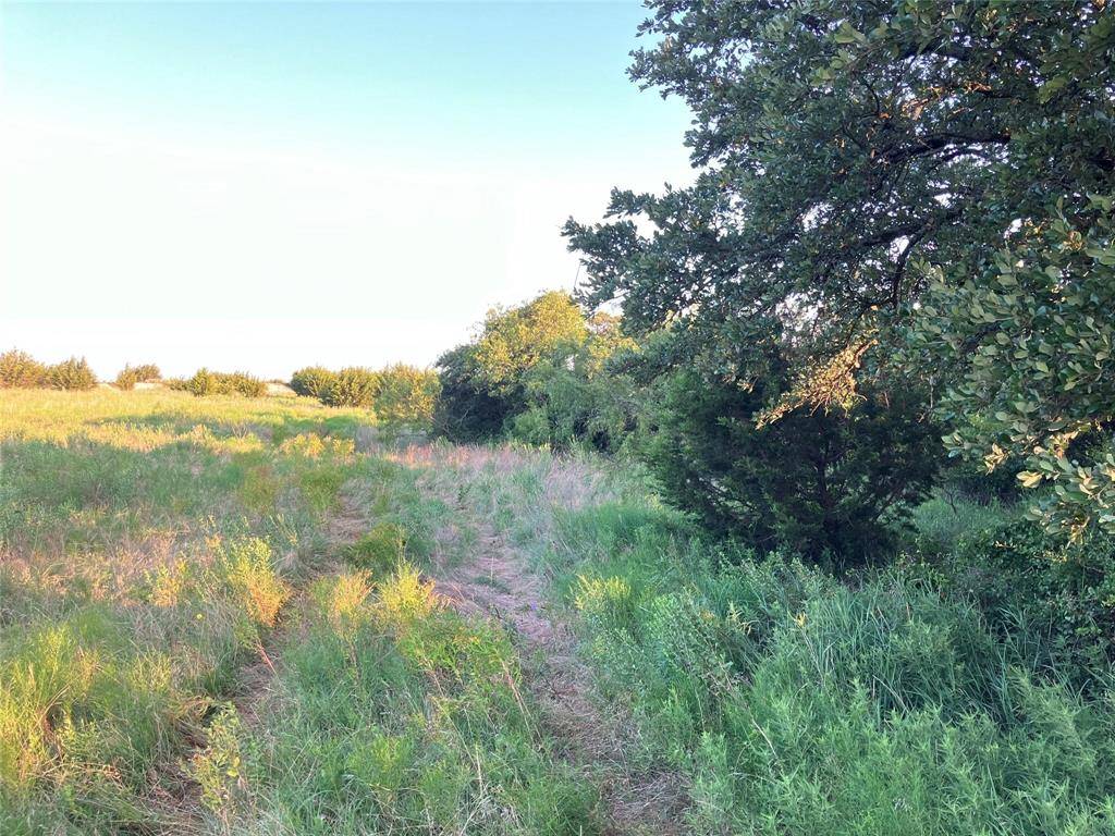 Desdemona, TX 76445,Tract 19 County Road 493