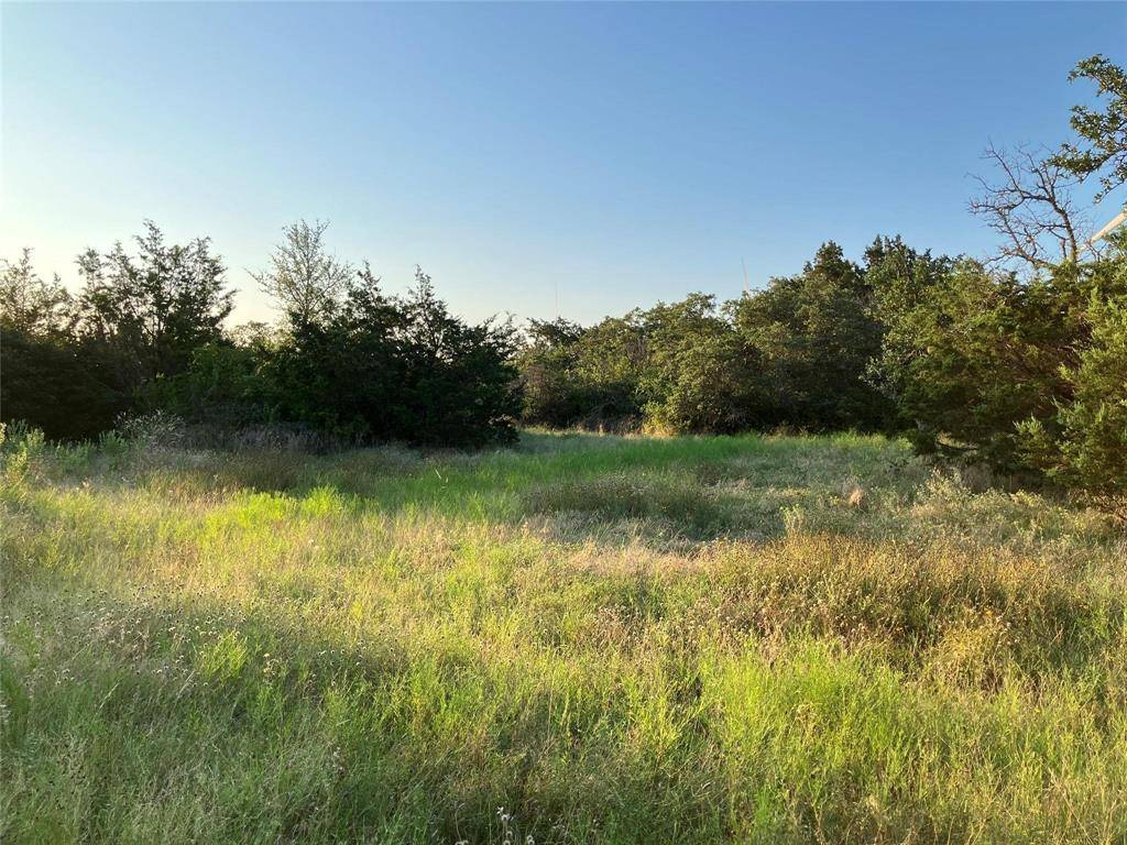 Desdemona, TX 76445,Tract 19 County Road 493