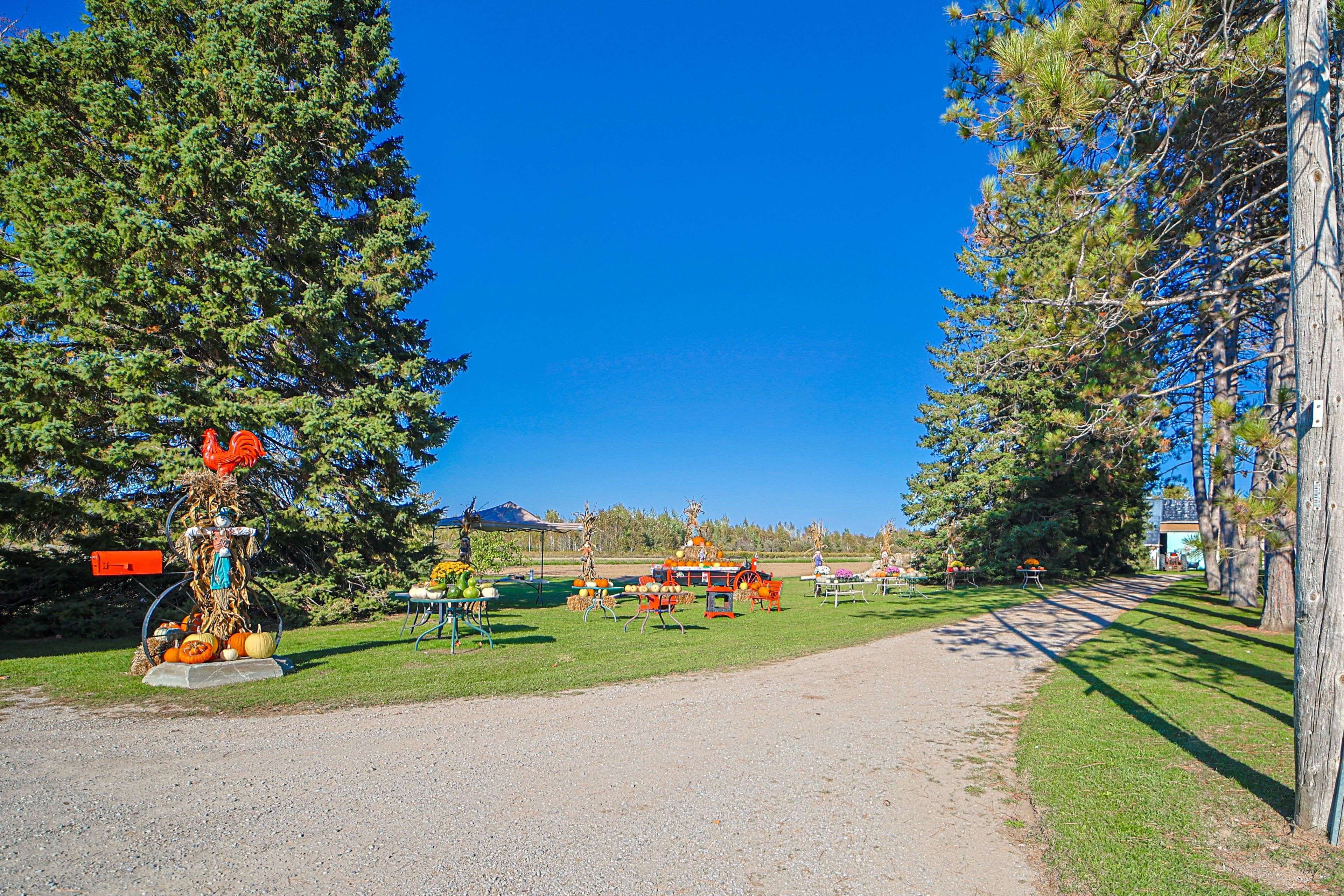 Adjala-tosorontio, ON L0M 1M0,7423 Concession 3 RD