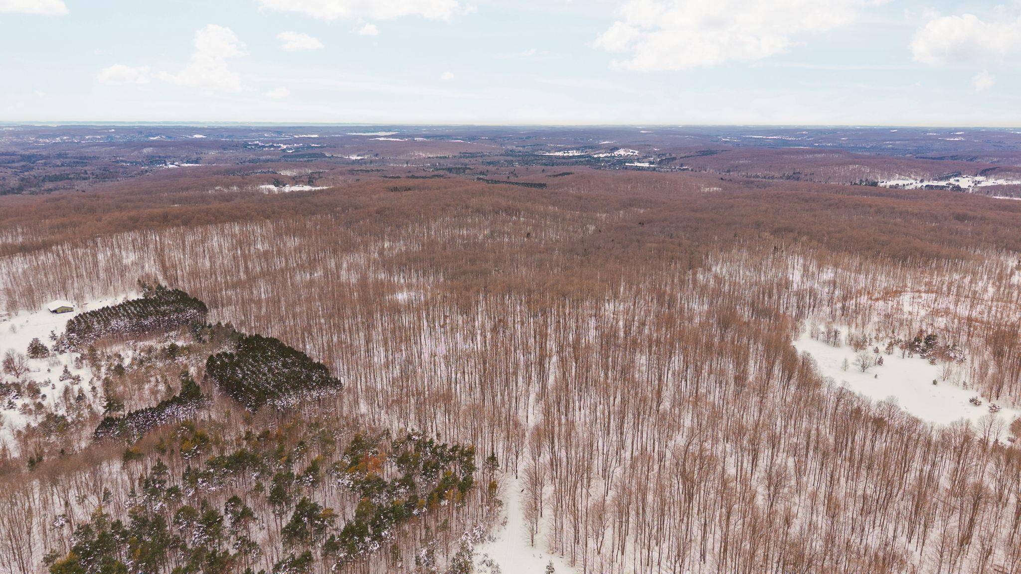 00 Stark RD, Chestonia Twp, MI 49659