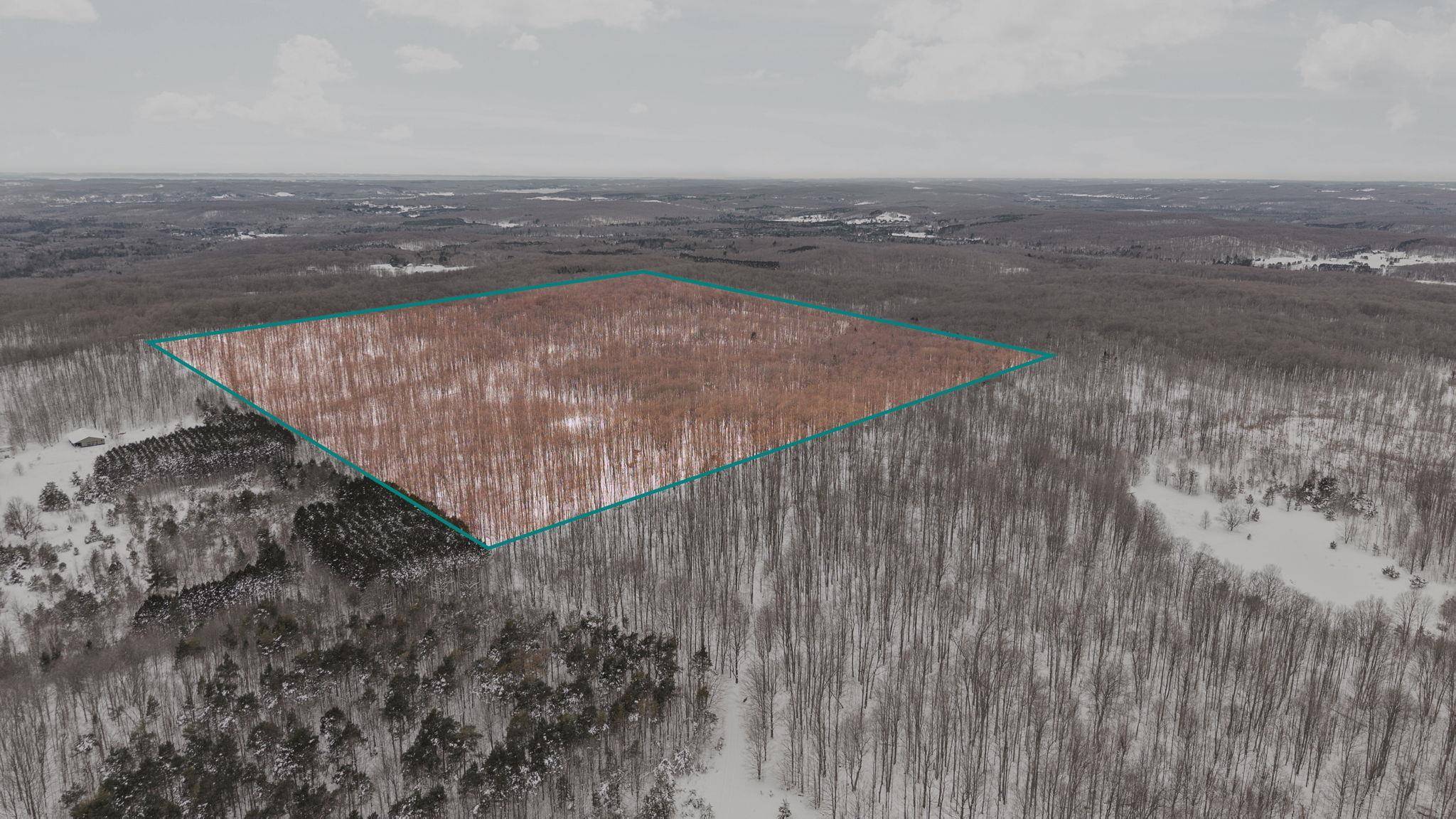 00 Stark RD, Chestonia Twp, MI 49659