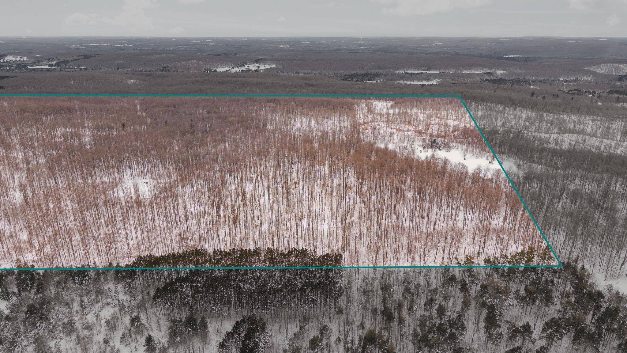 00 Stark RD, Chestonia Twp, MI 49659