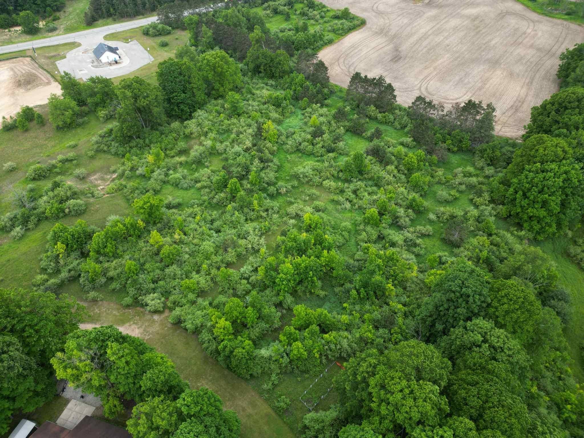 TBD Stone, Surrey Twp, MI 48622