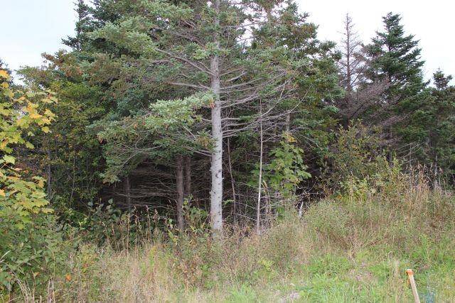 Portugal Cove-st. Philip's, NL A1M 1Z4,235-241 Beachy Cove Road