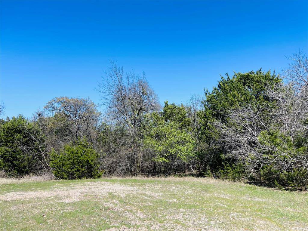 Whitney, TX 76692,1259 Stone Court