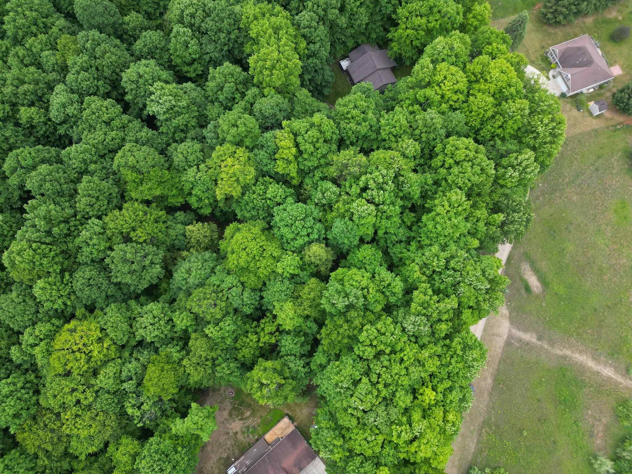 Farwell, MI 48622,TBD Juniper DR