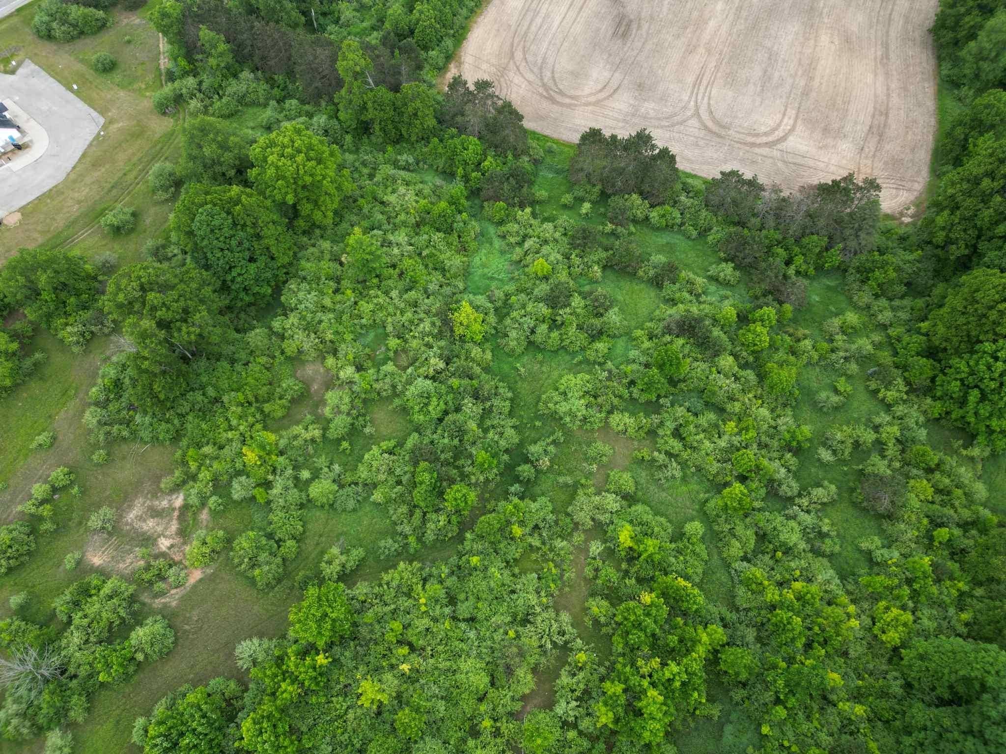 Farwell, MI 48622,TBD Juniper DR