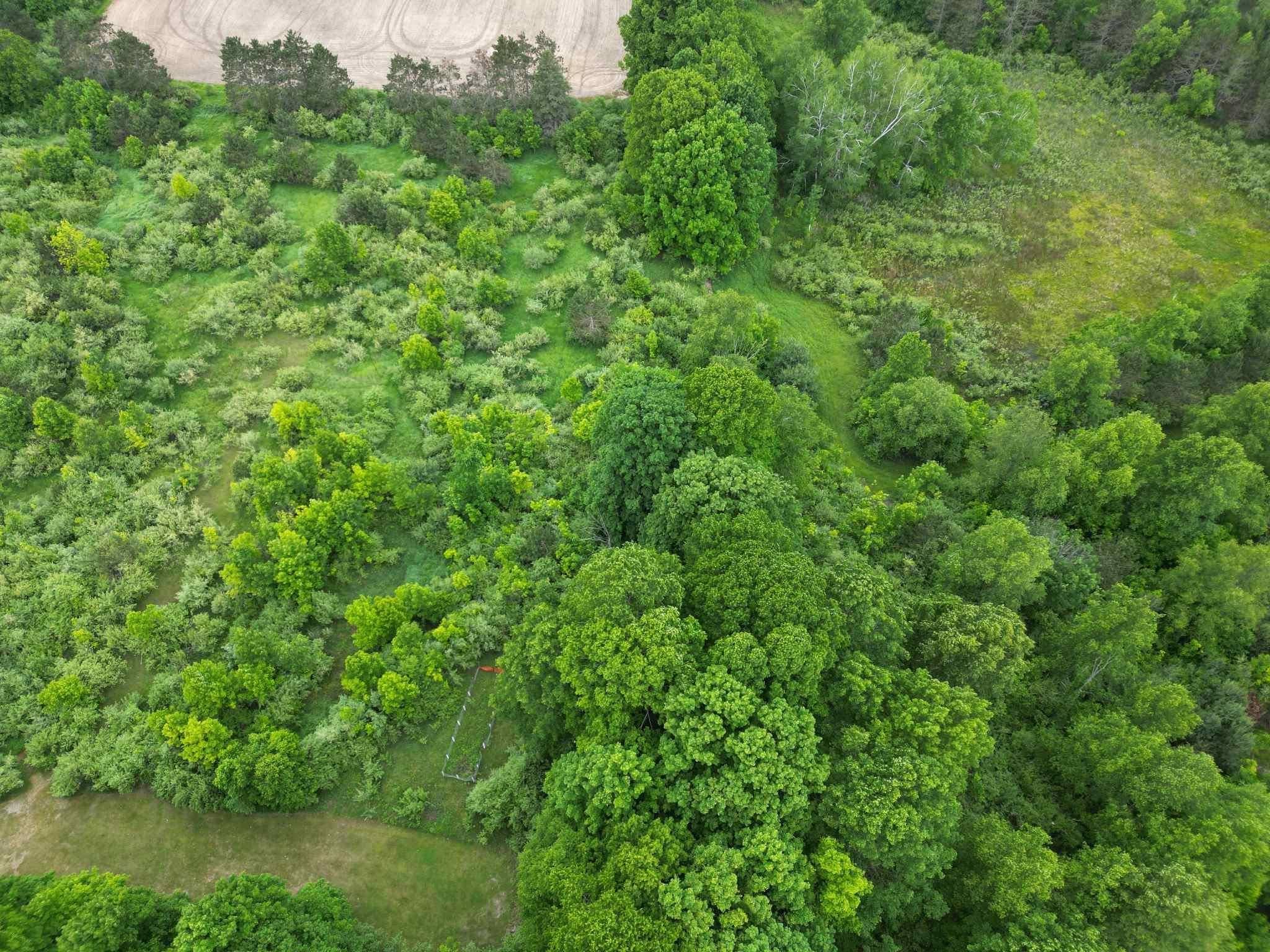 Farwell, MI 48622,TBD Juniper DR